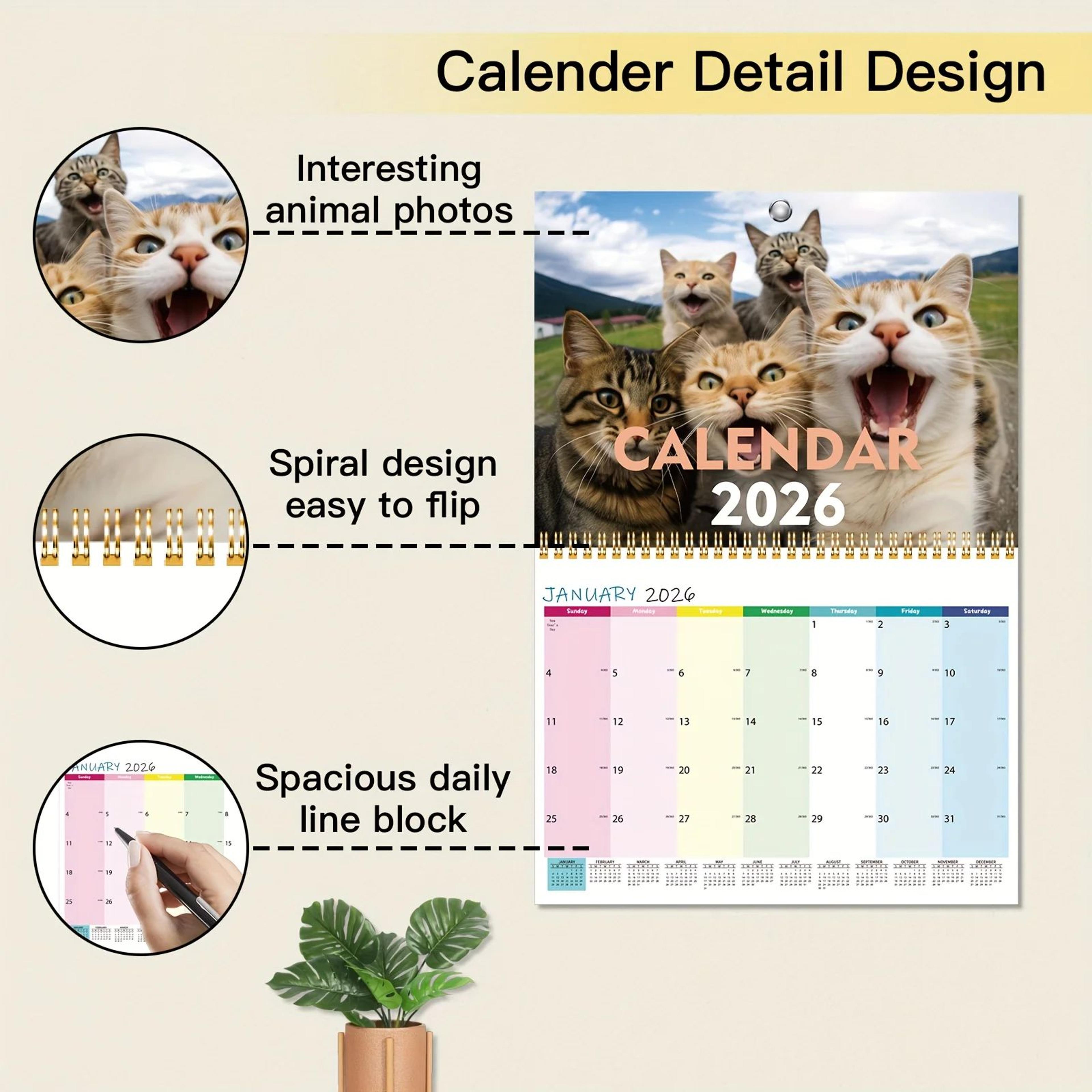 Cats And Friends 2026 Wall Calendar 5
