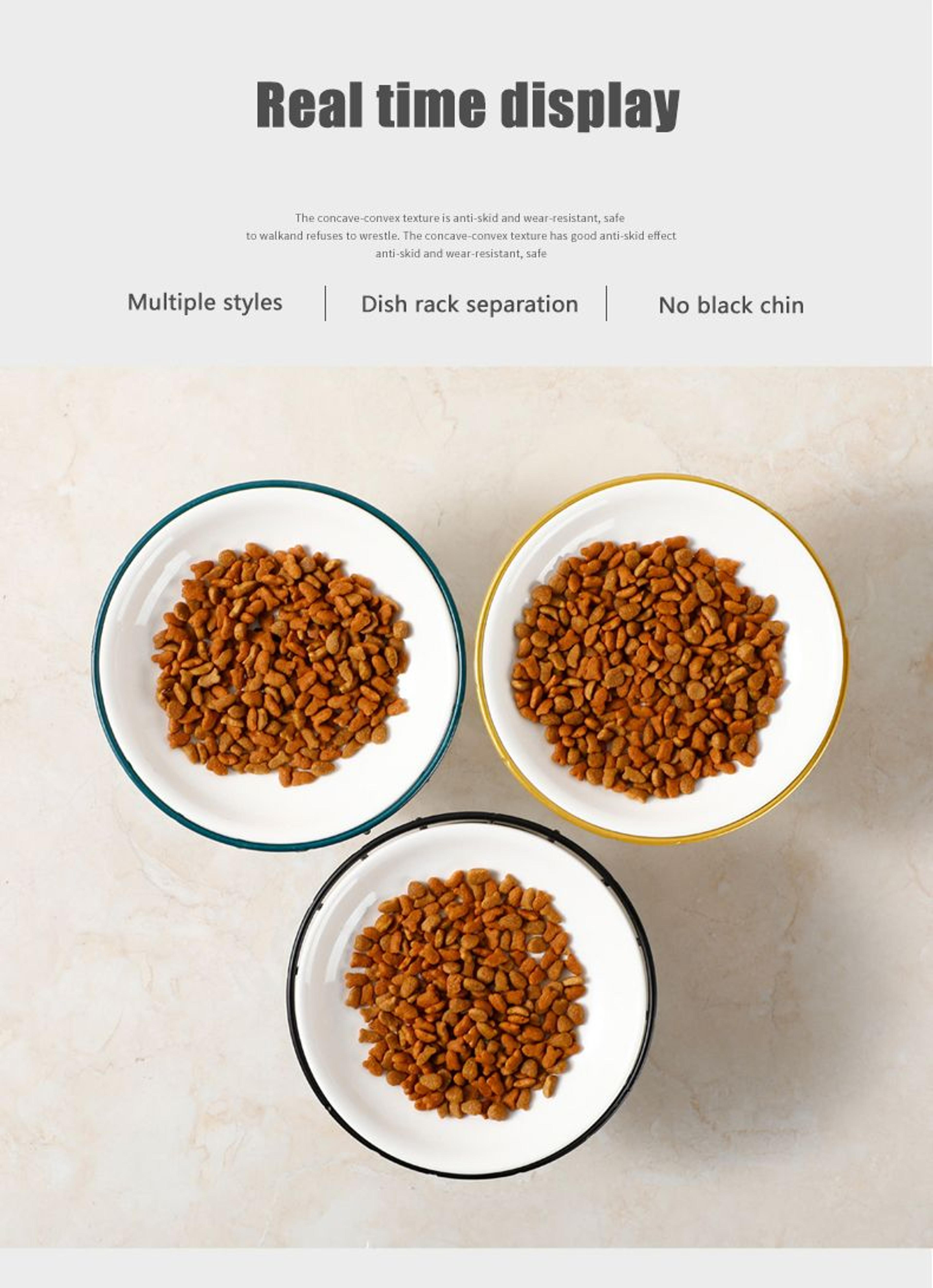Elevated Ceramic Pet Food Bowl With Stand 10