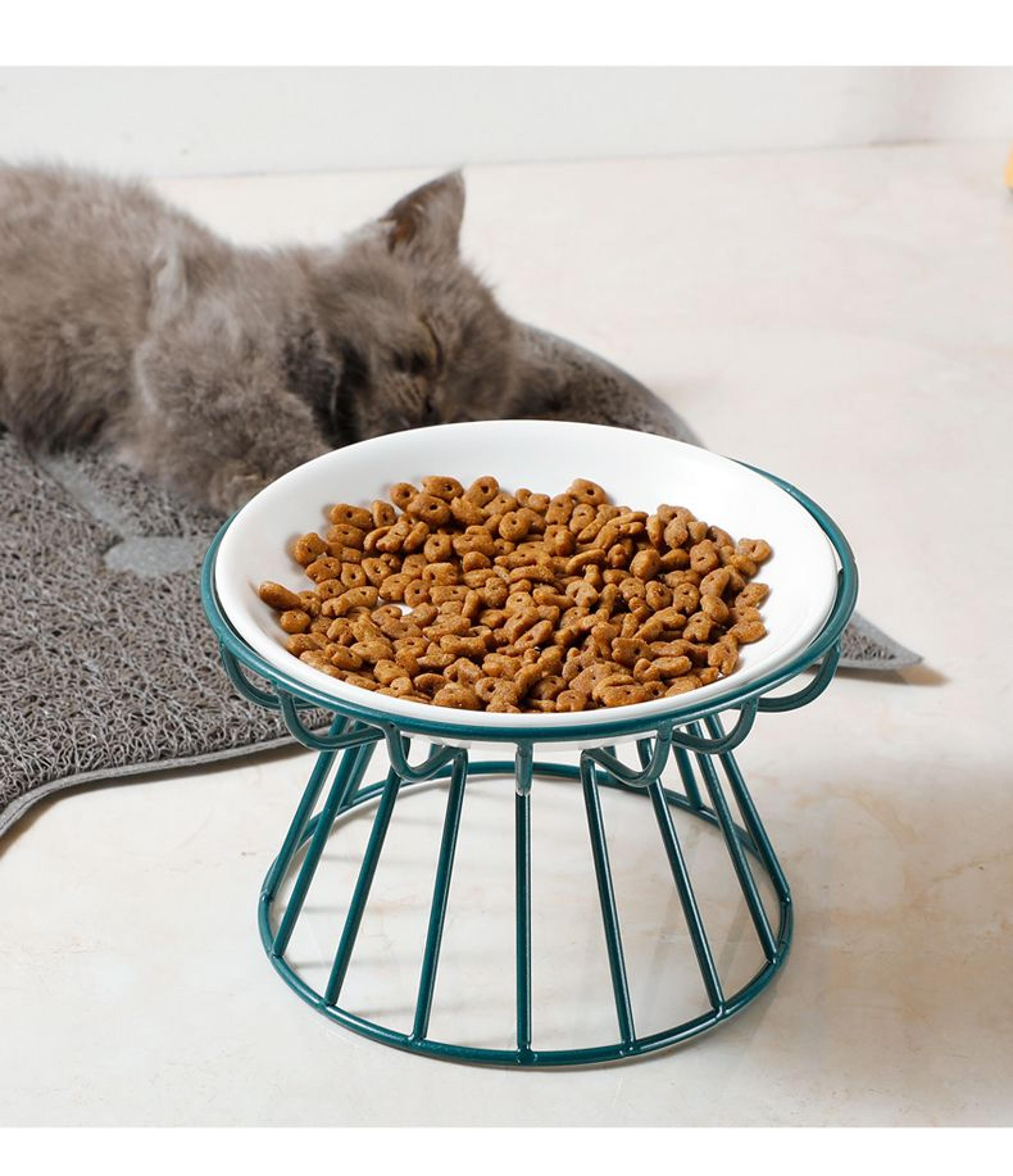Elevated Ceramic Pet Food Bowl With Stand 11
