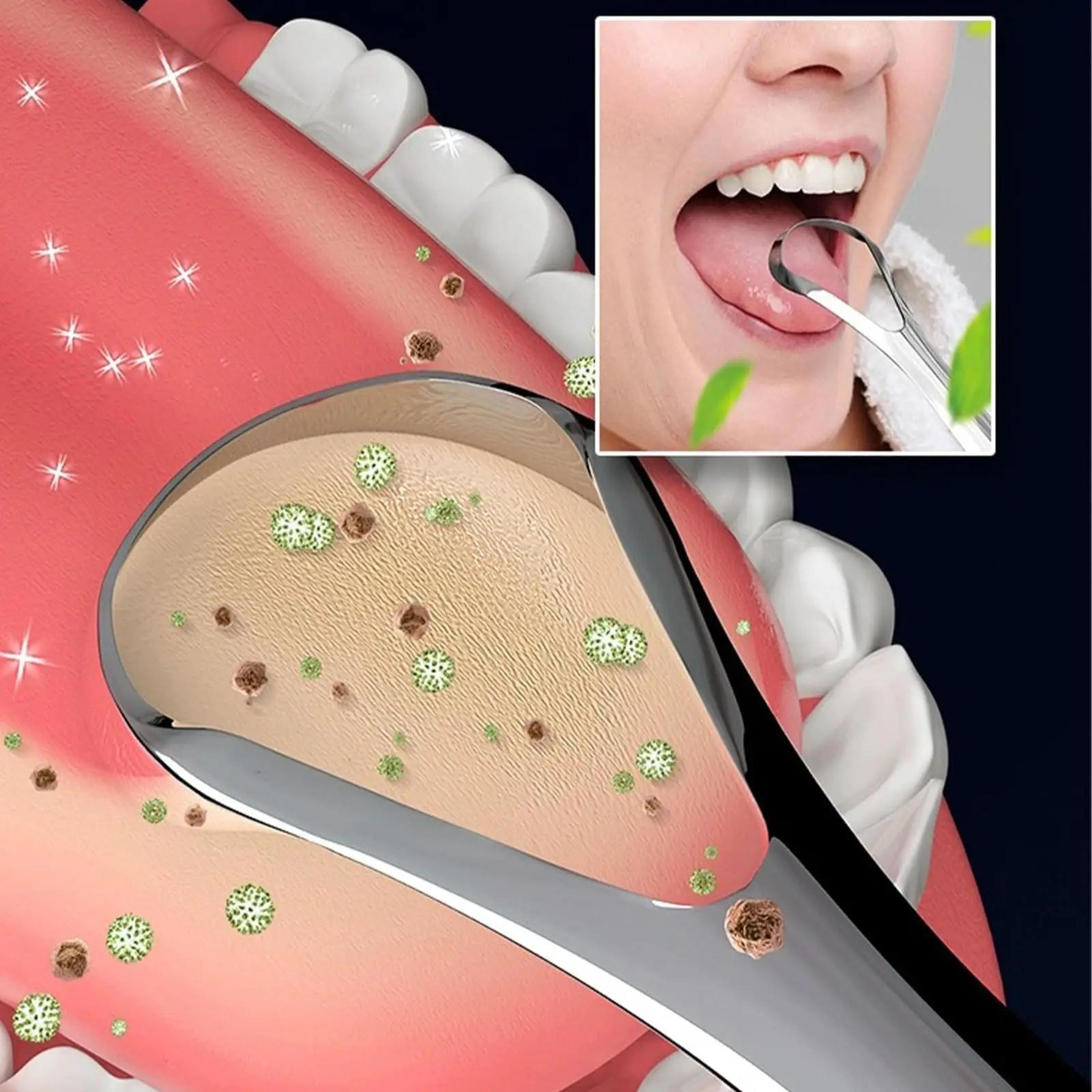 Stainless Steel Tongue Scraper Cleaner 2
