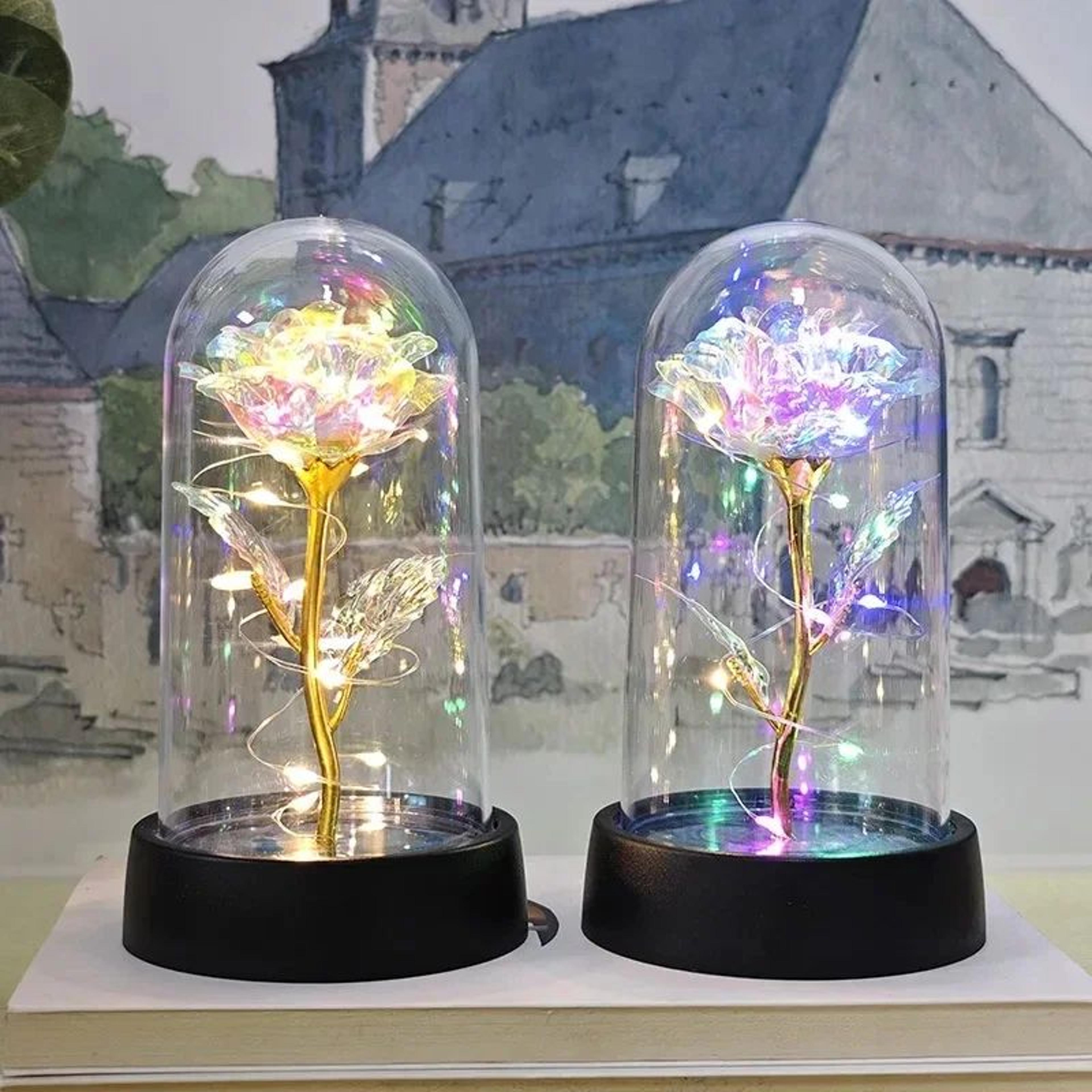 Eternal LED Rose Flower Gift 0