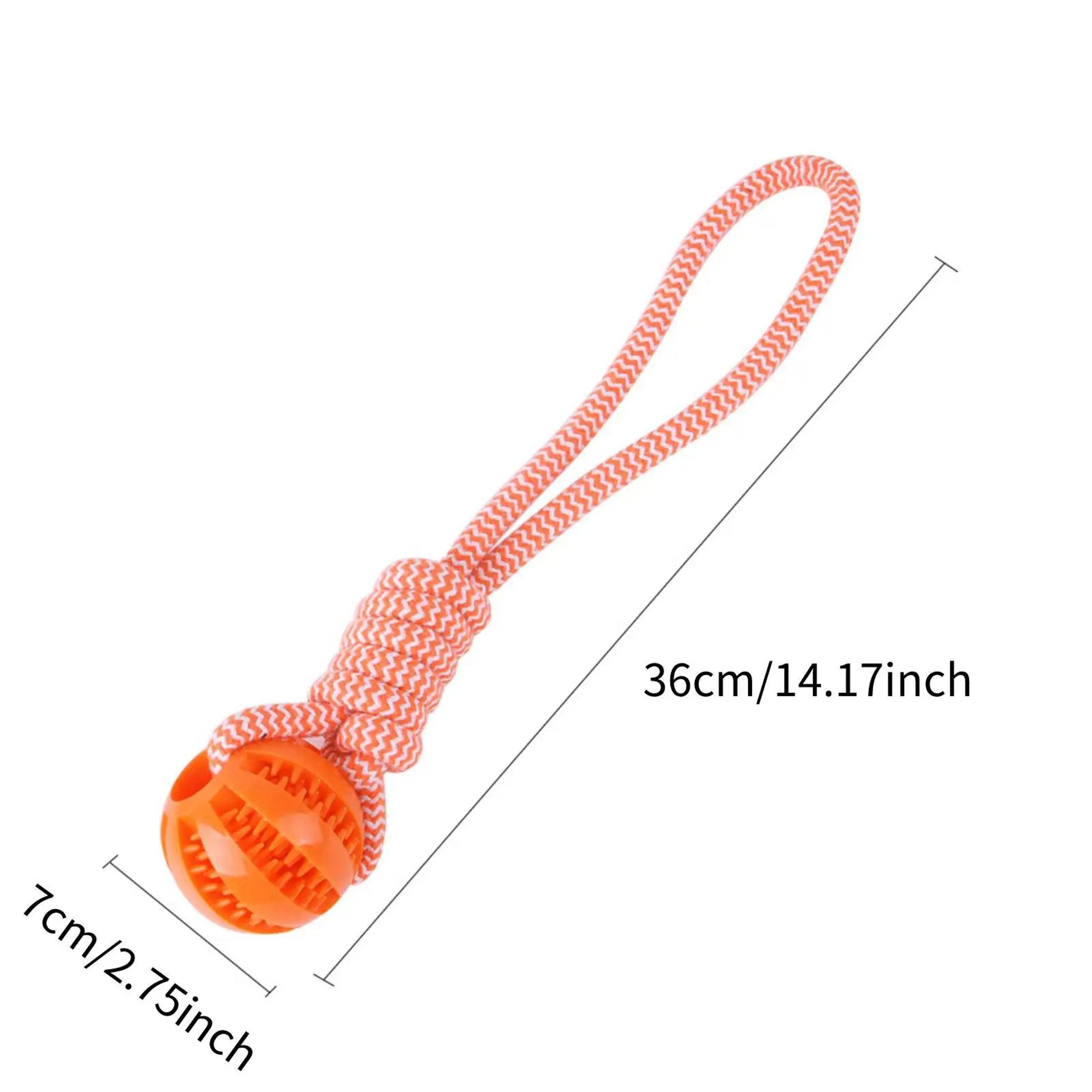 Interactive Chew And Treat Dog Toy Balls 4