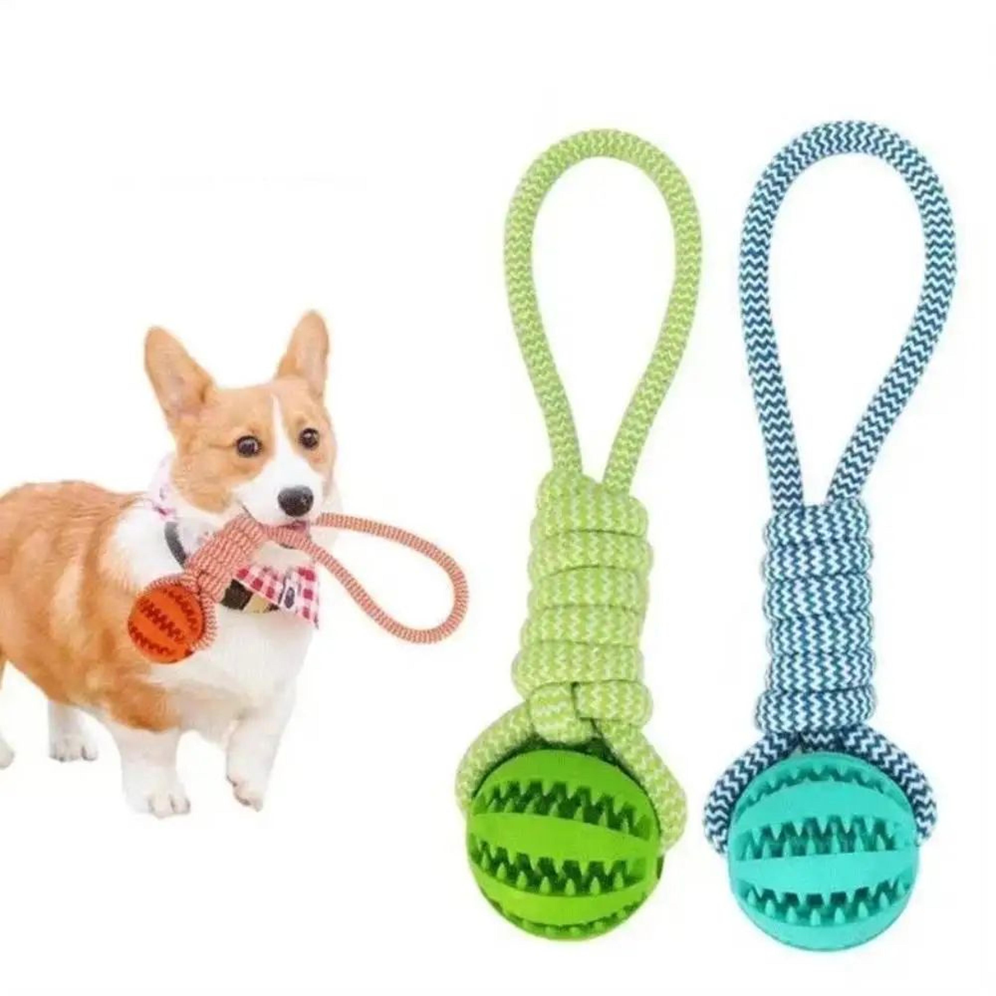 Interactive Chew And Treat Dog Toy Balls 6