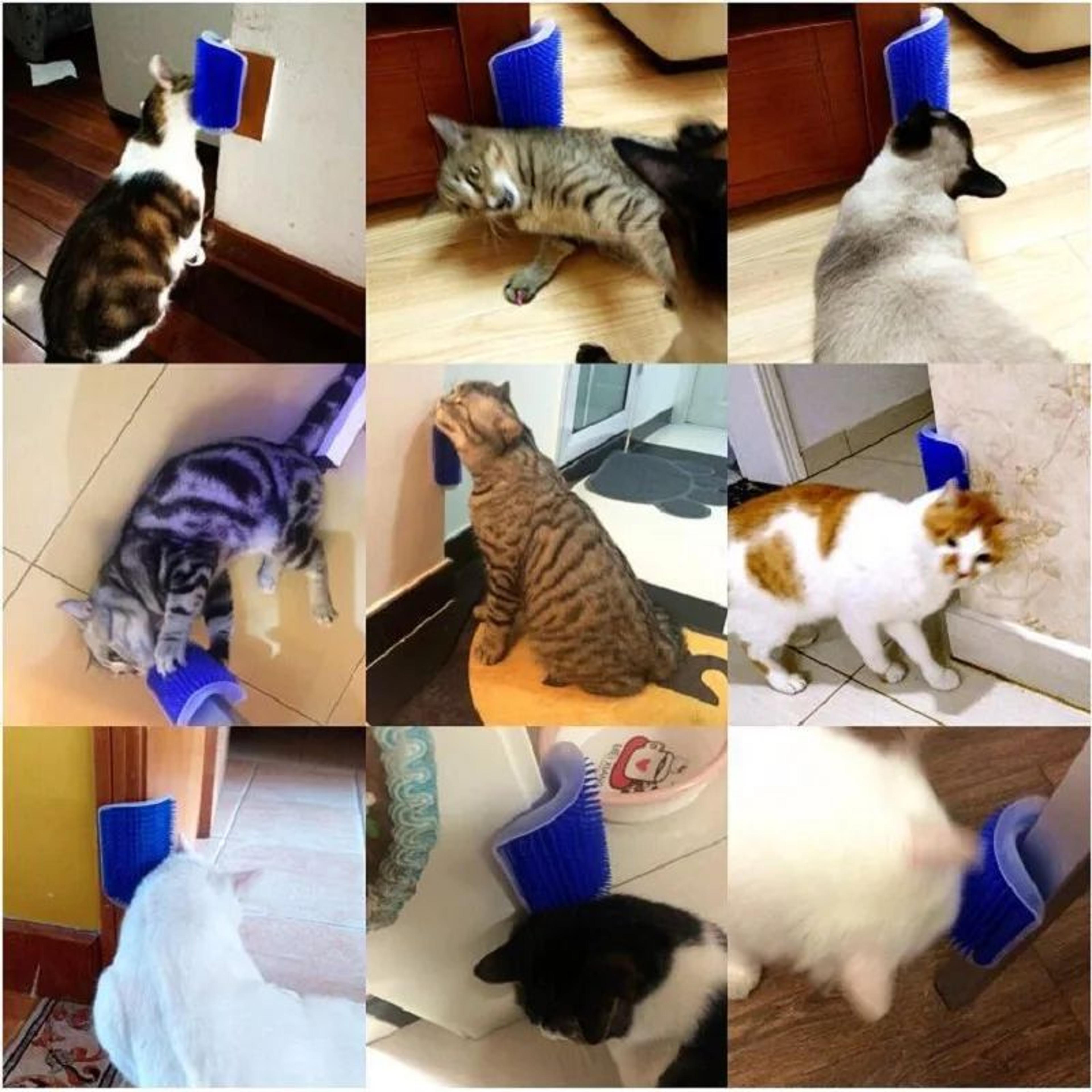 Cat Scratcher Grooming Massager Brush 1