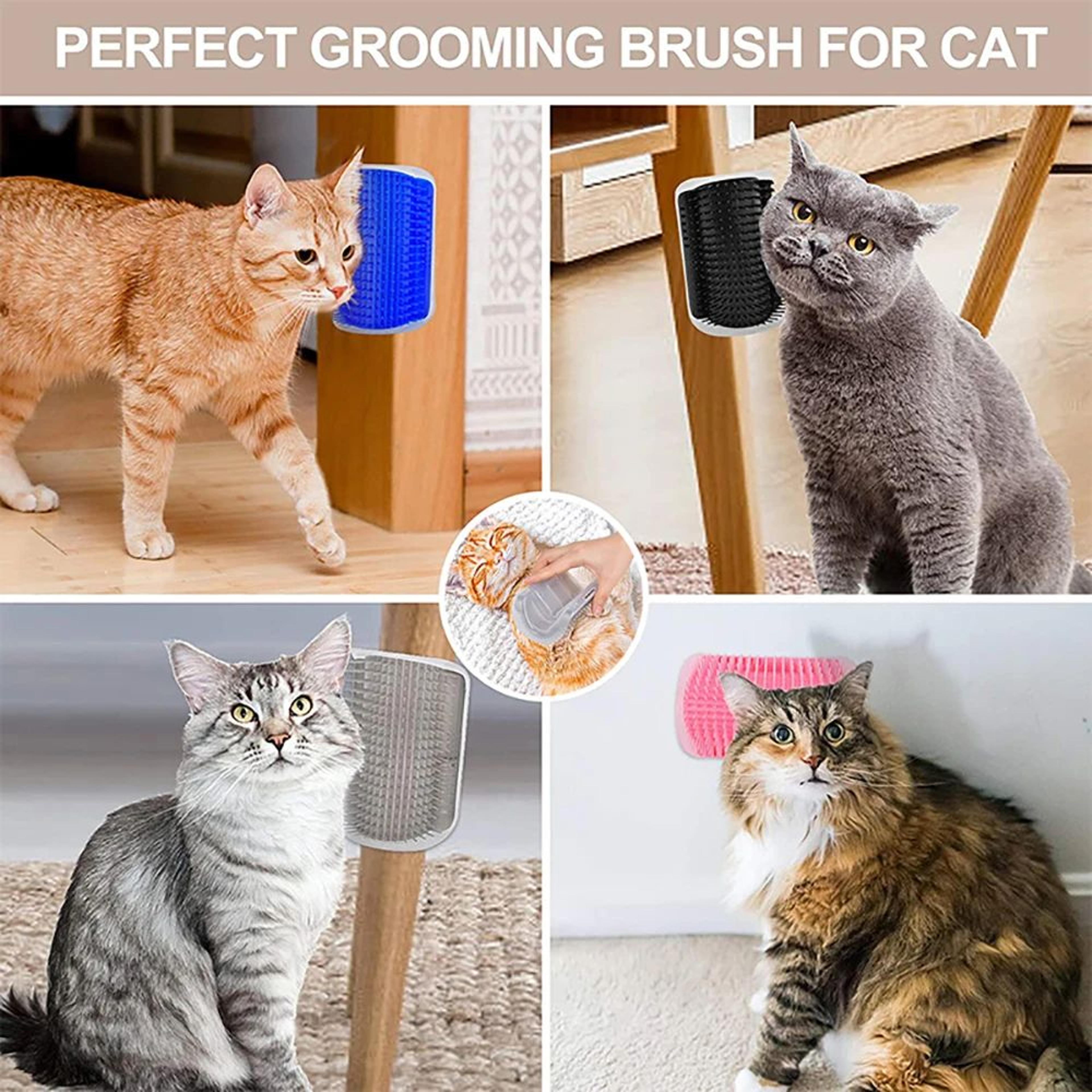 Cat Scratcher Grooming Massager Brush 6