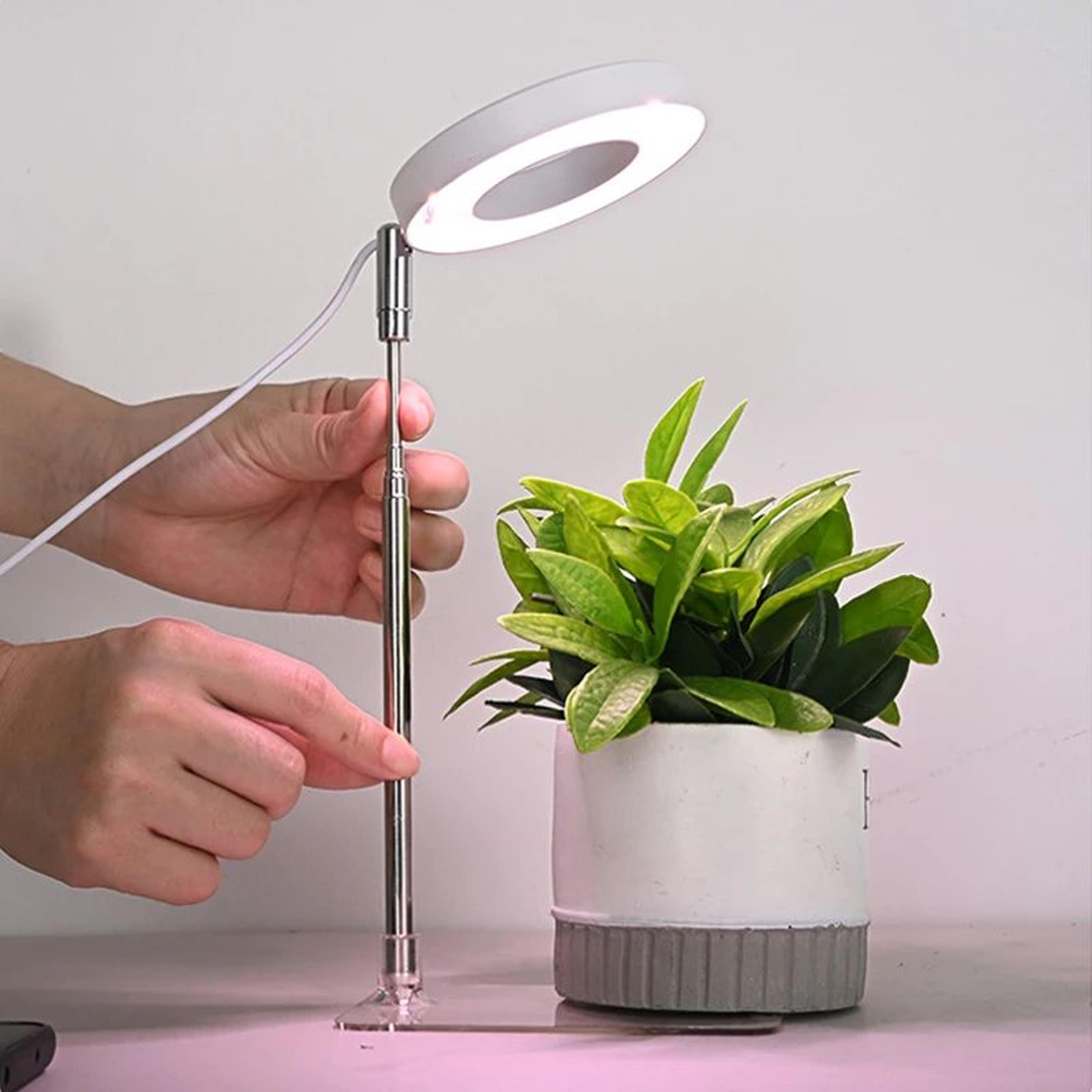 Full Spectrum Indoor LED Grow Light 5