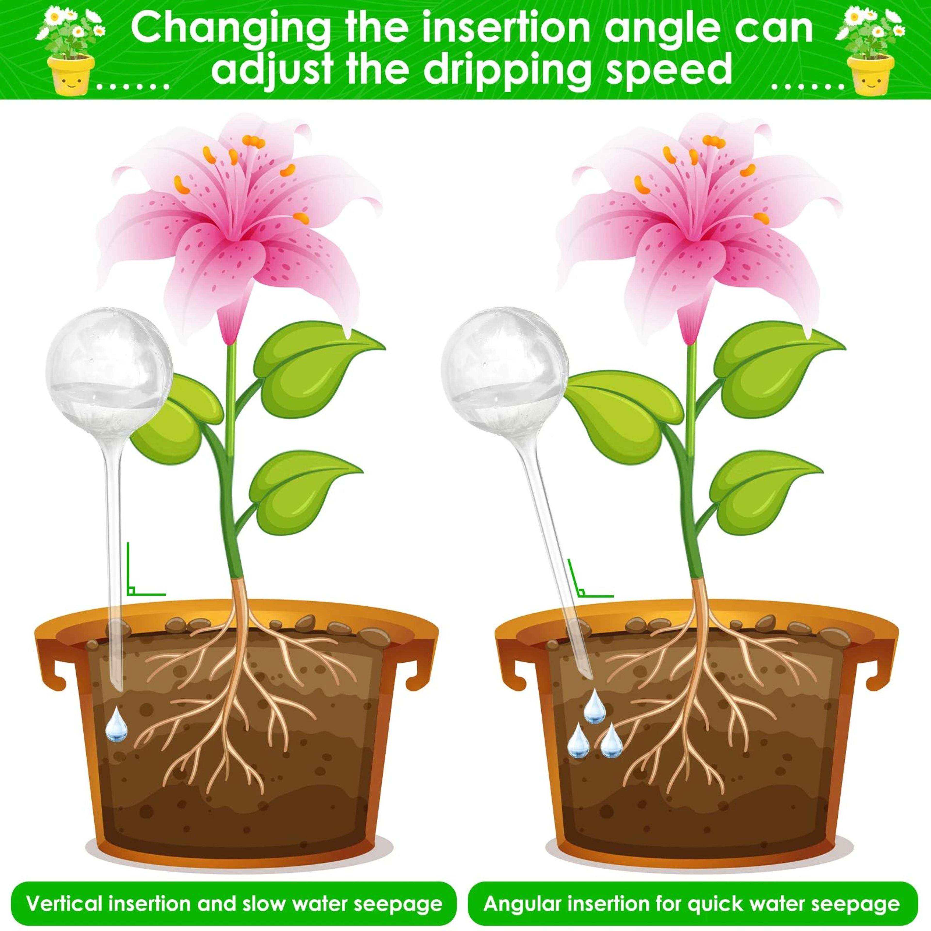 Automatic Plant Watering Ball Set 2