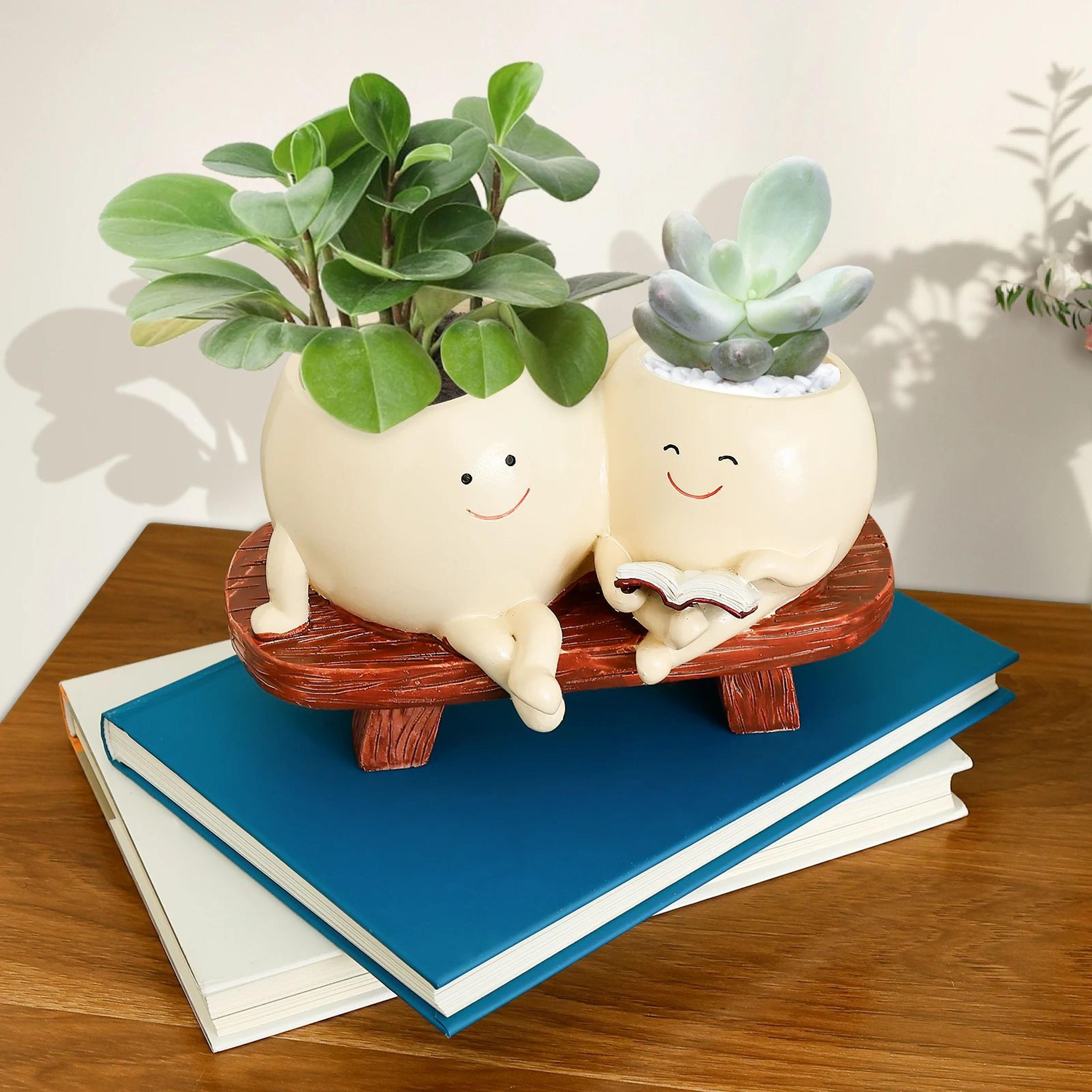 Cute Smiley Face Succulent Planter 2