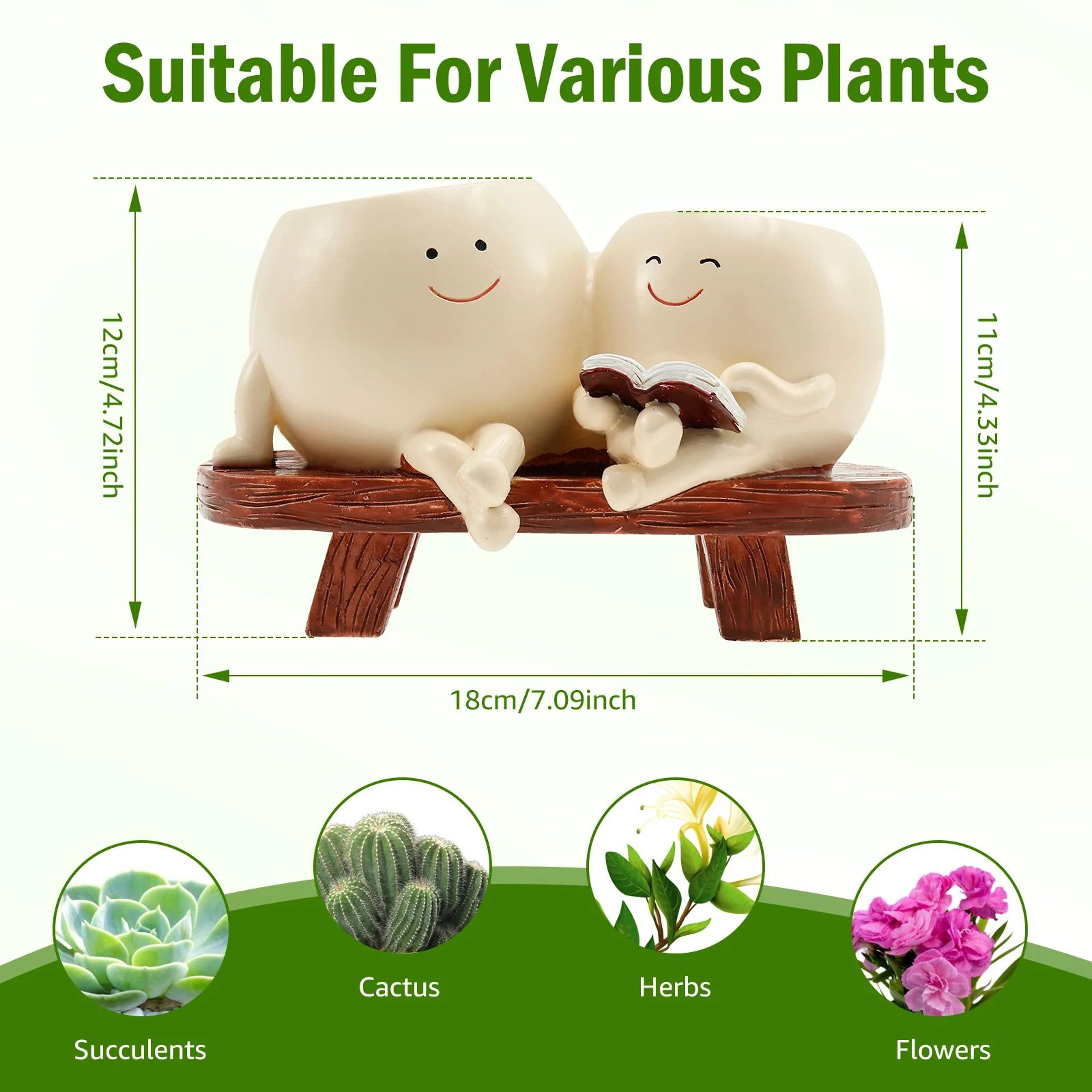 Cute Smiley Face Succulent Planter 7