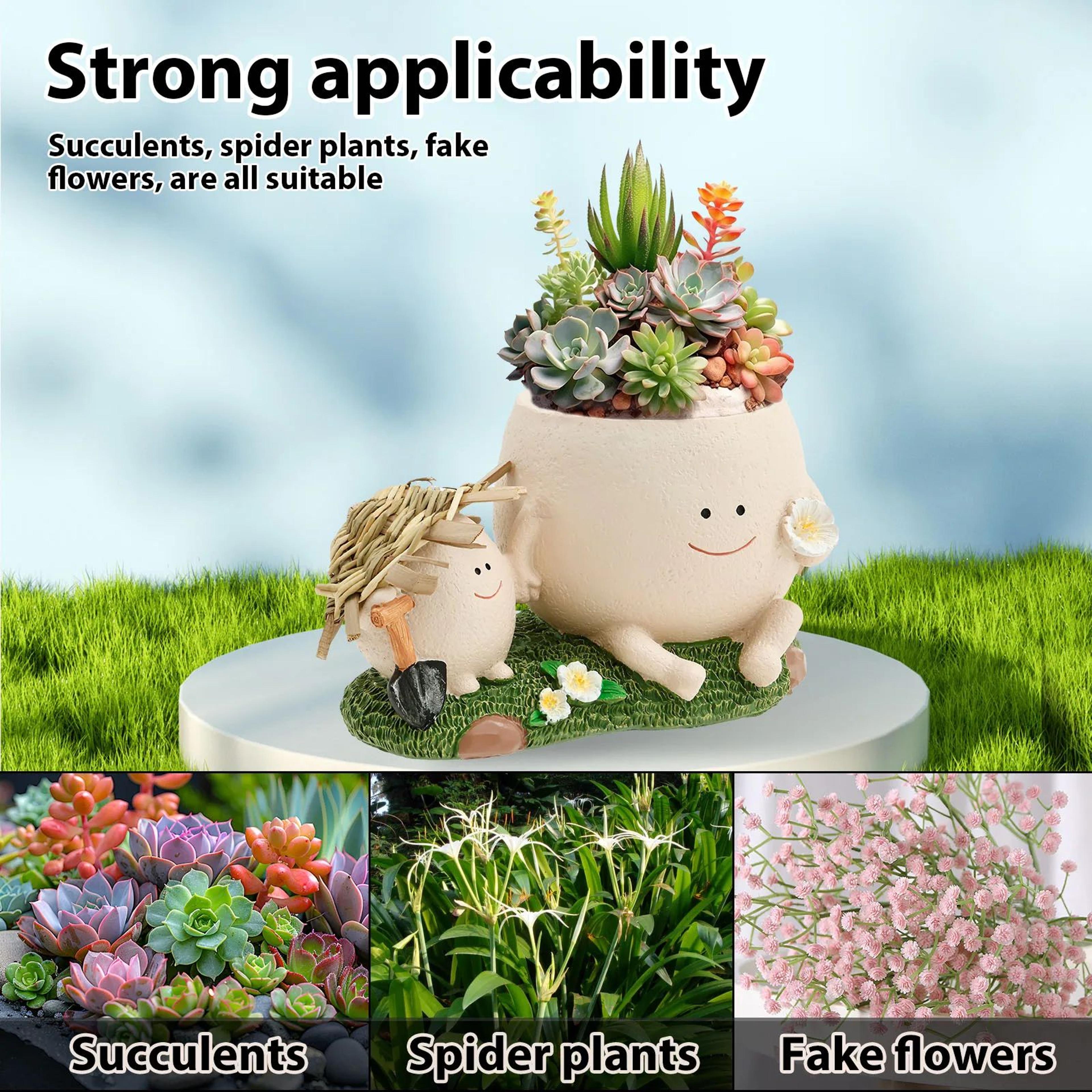 Cute Smiley Face Succulent Planter 10
