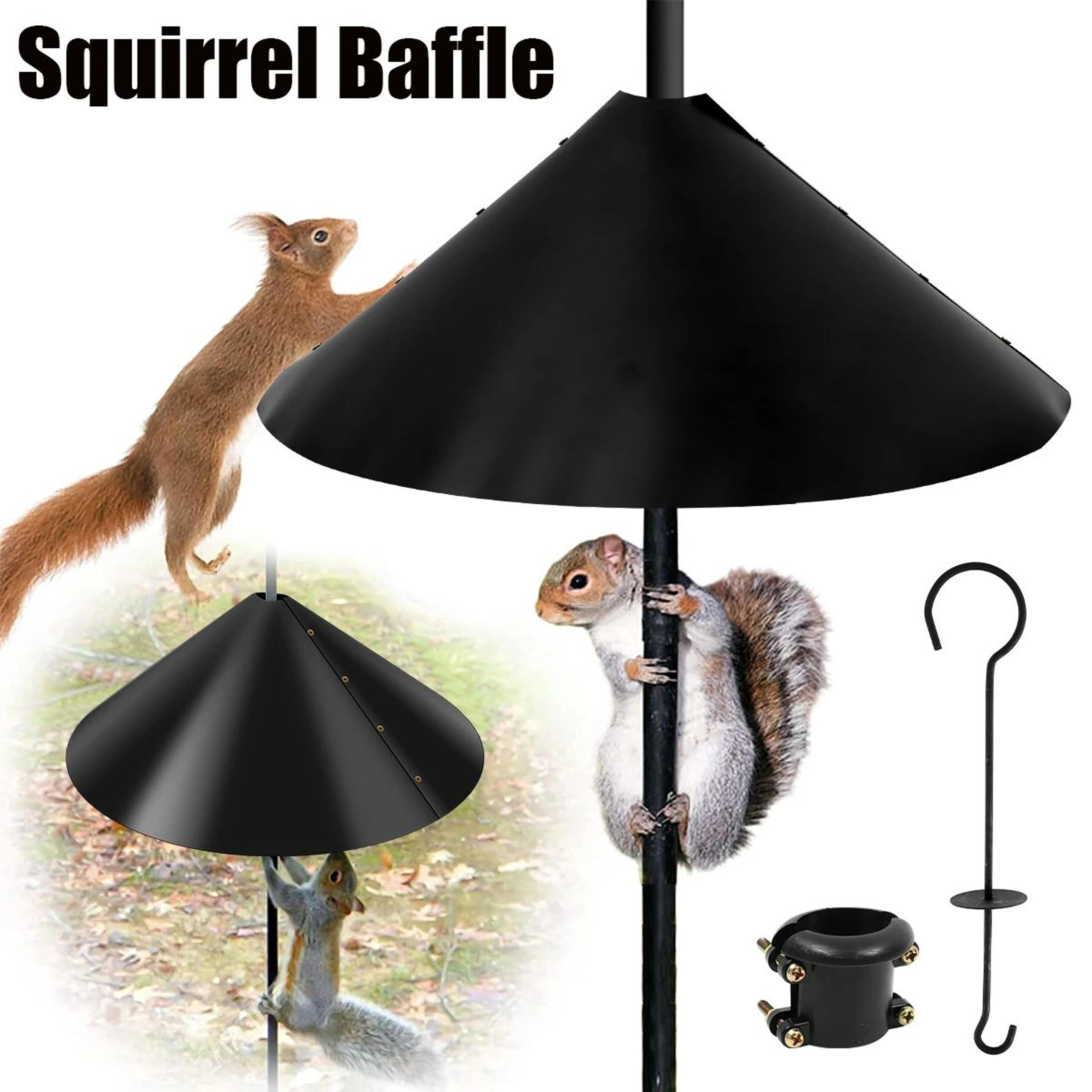 squirrel proof bird feeder baffle