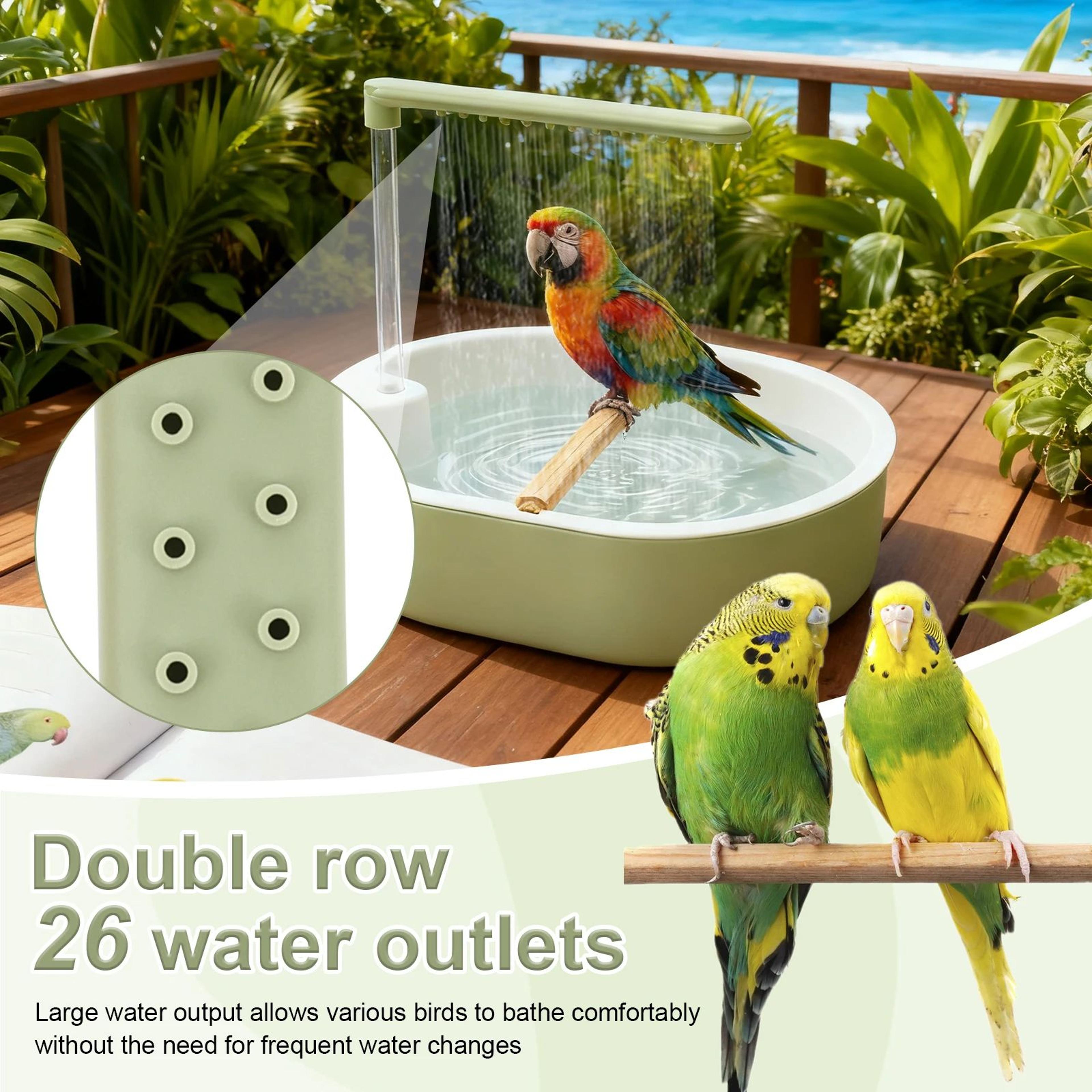 Automatic Bird Bath Fountain 6