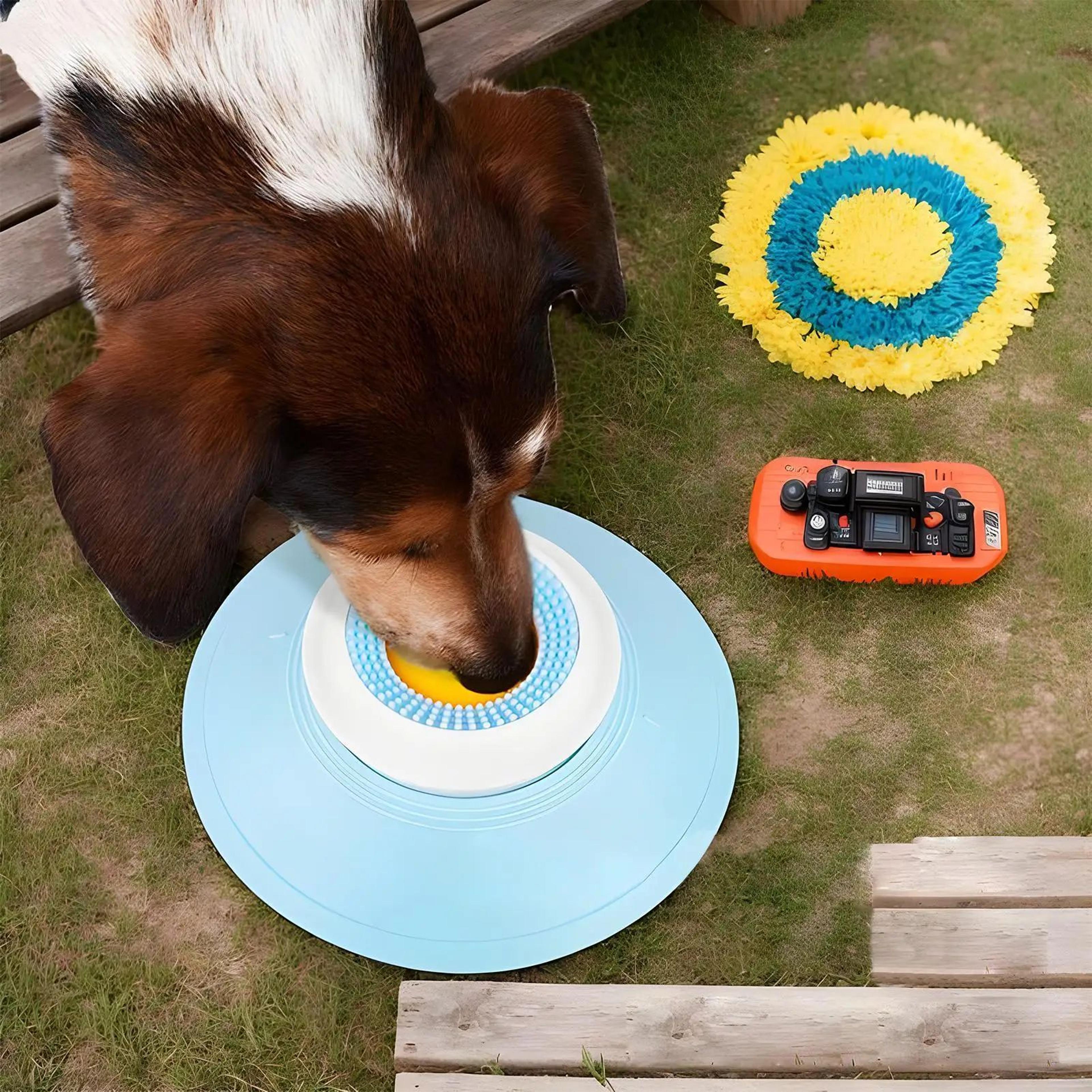 Dog Slow Feeder Lick Bowl 3
