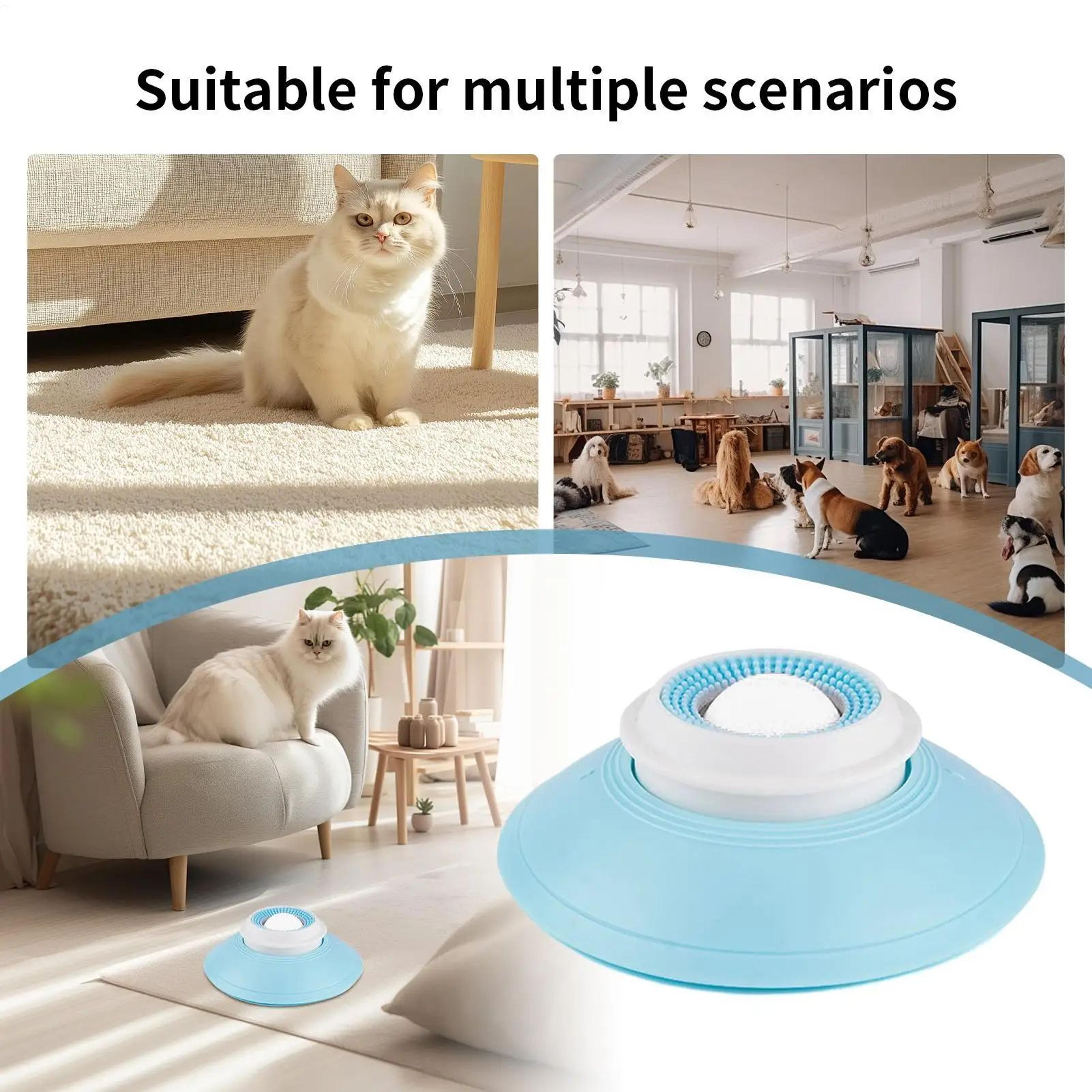 Dog Slow Feeder Lick Bowl 11