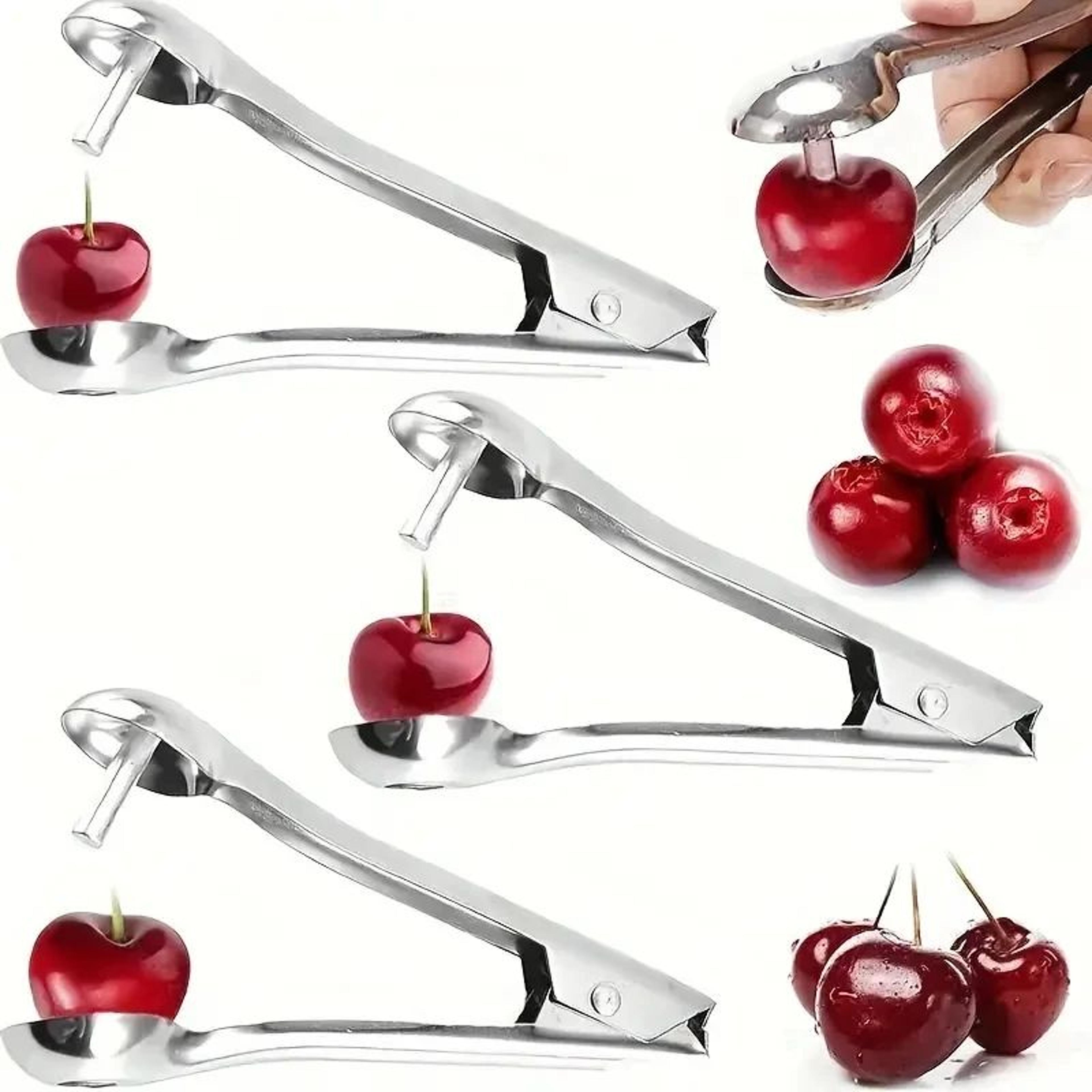 Stainless Steel Cherry And Jujube Corer Tool 2