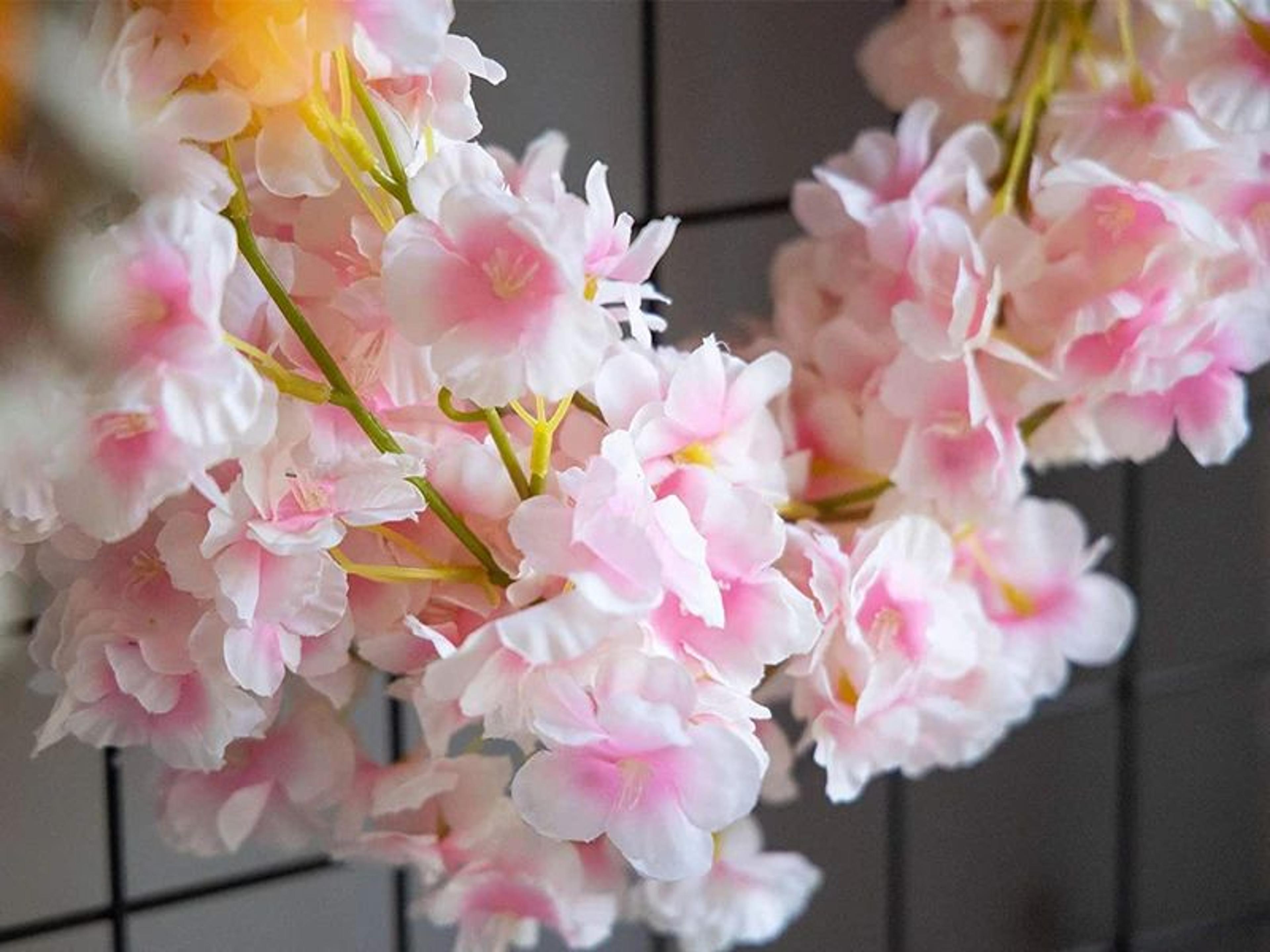 180 CM Artificial Sakura Flower Vine For Wedding  Home Decor 7