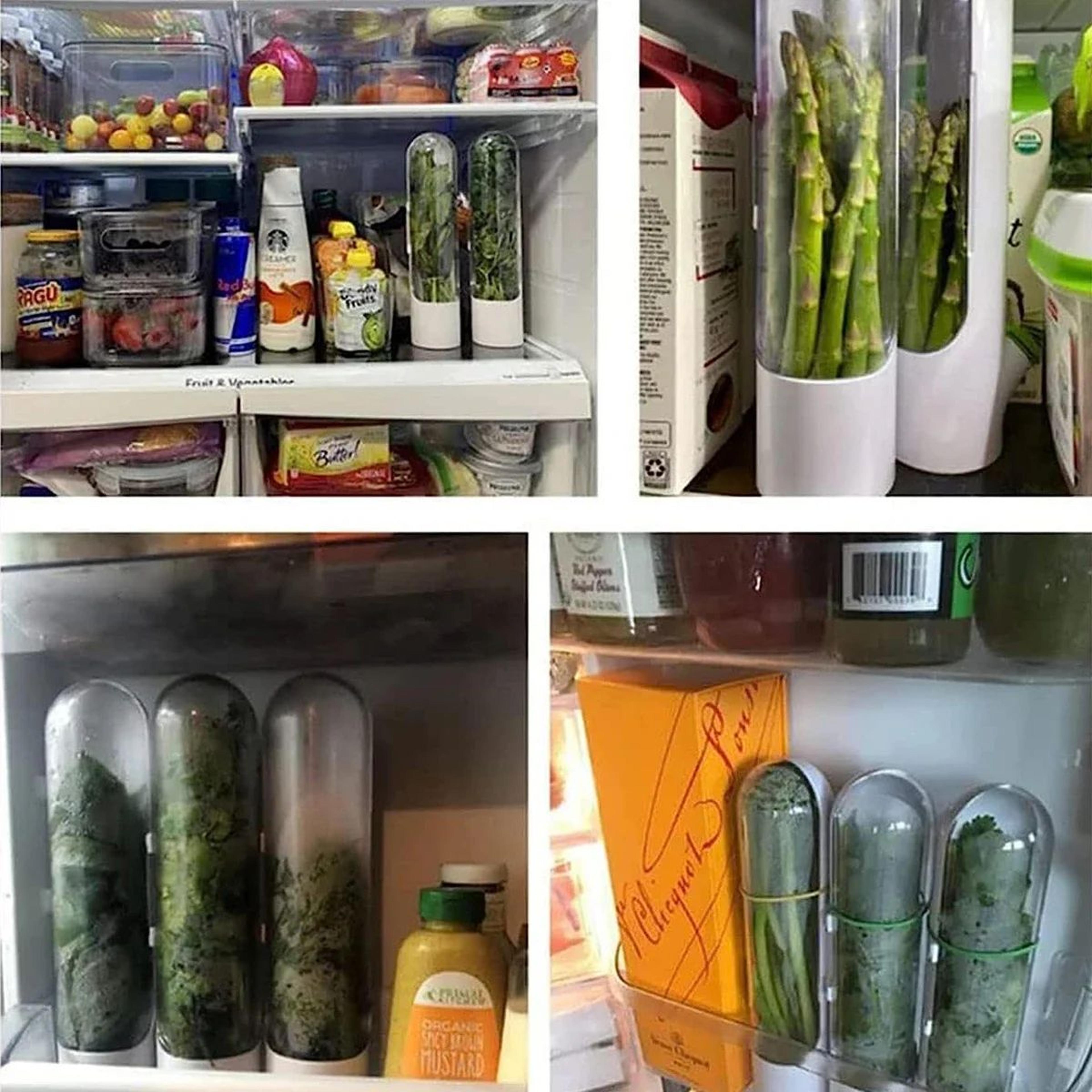 Herb Saver Storage Container Fresh Herb Keeper Bottle 5