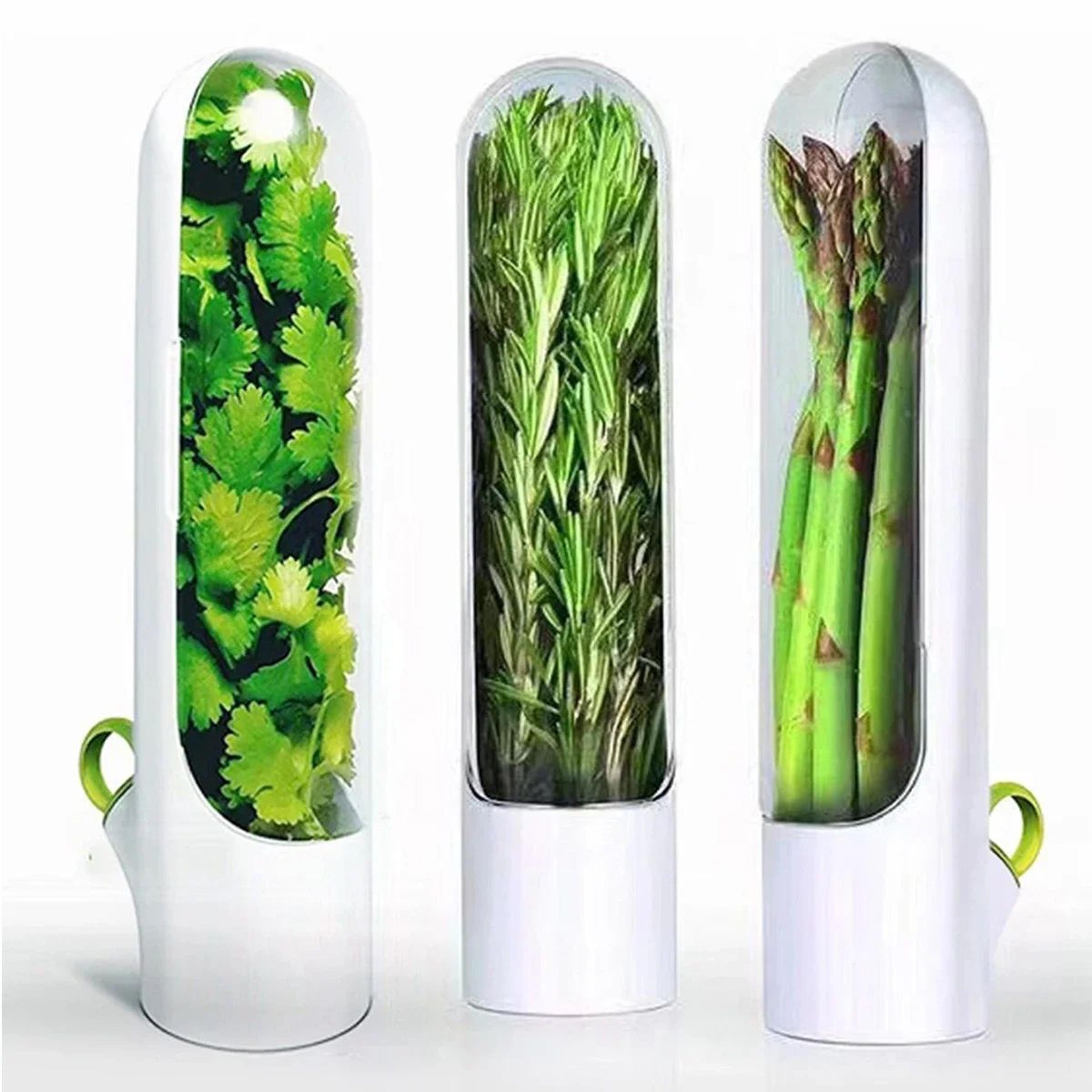 Herb Saver Storage Container Fresh Herb Keeper Bottle 6