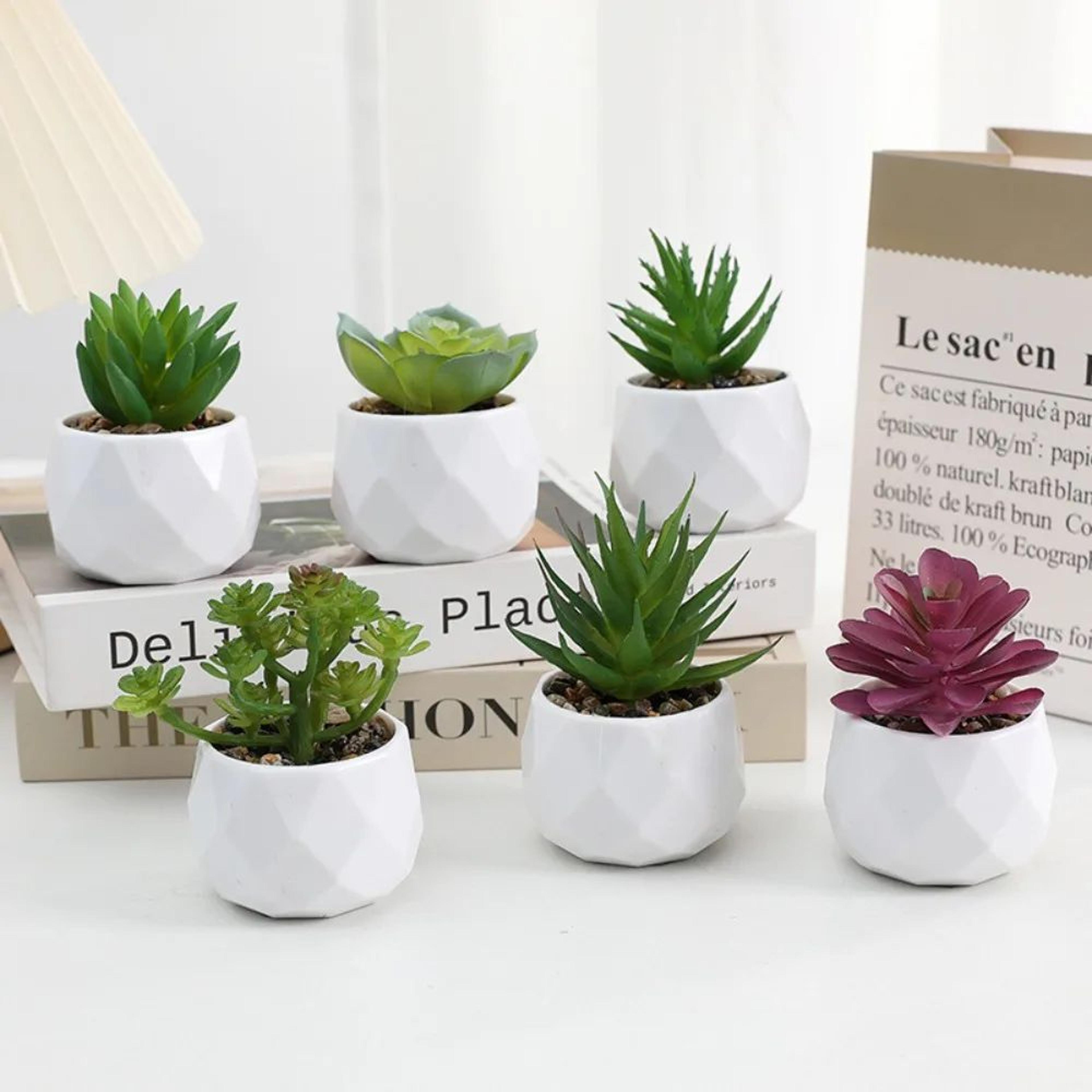 Mini Artificial Succulent Bonsai Plant Decor 2