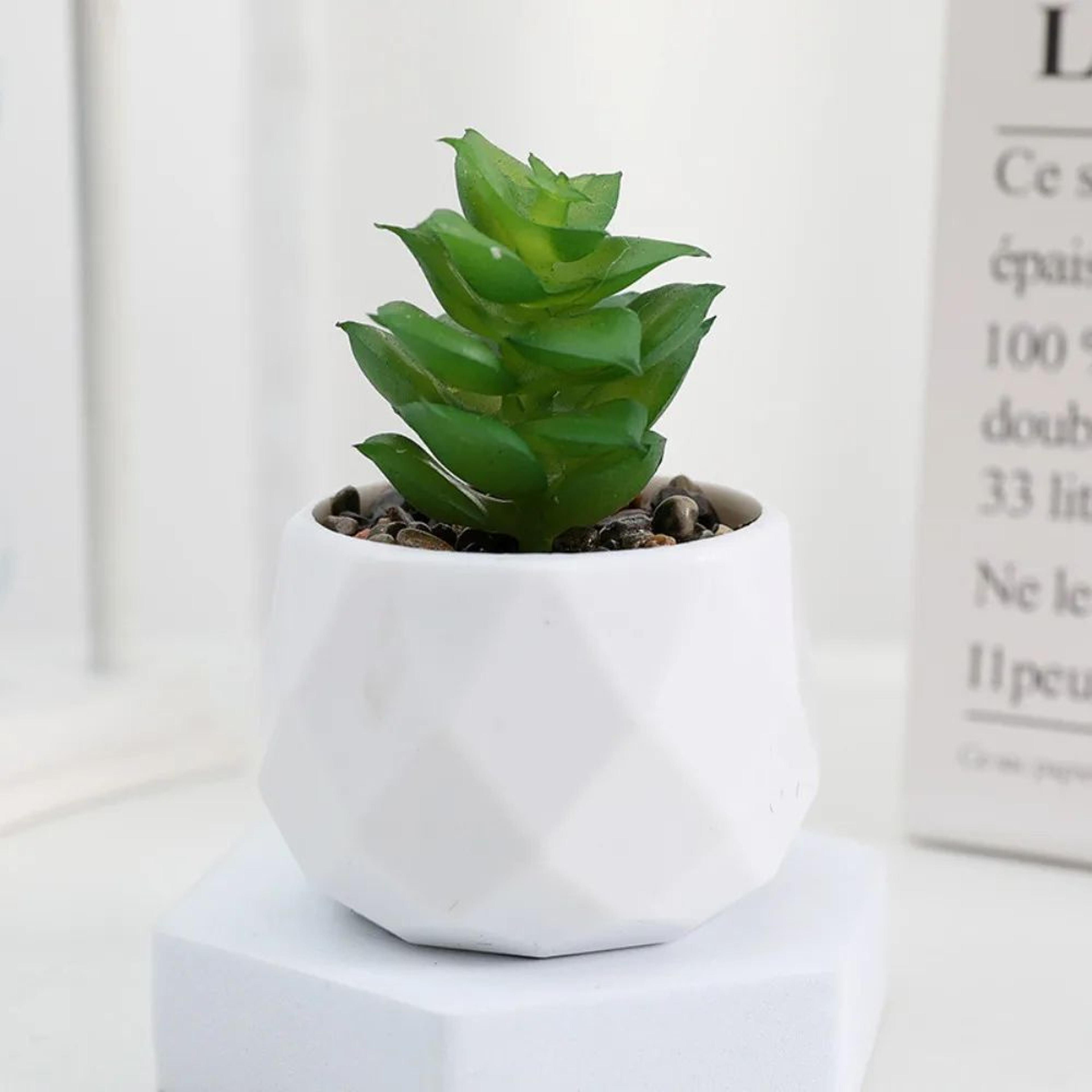 Mini Artificial Succulent Bonsai Plant Decor 8