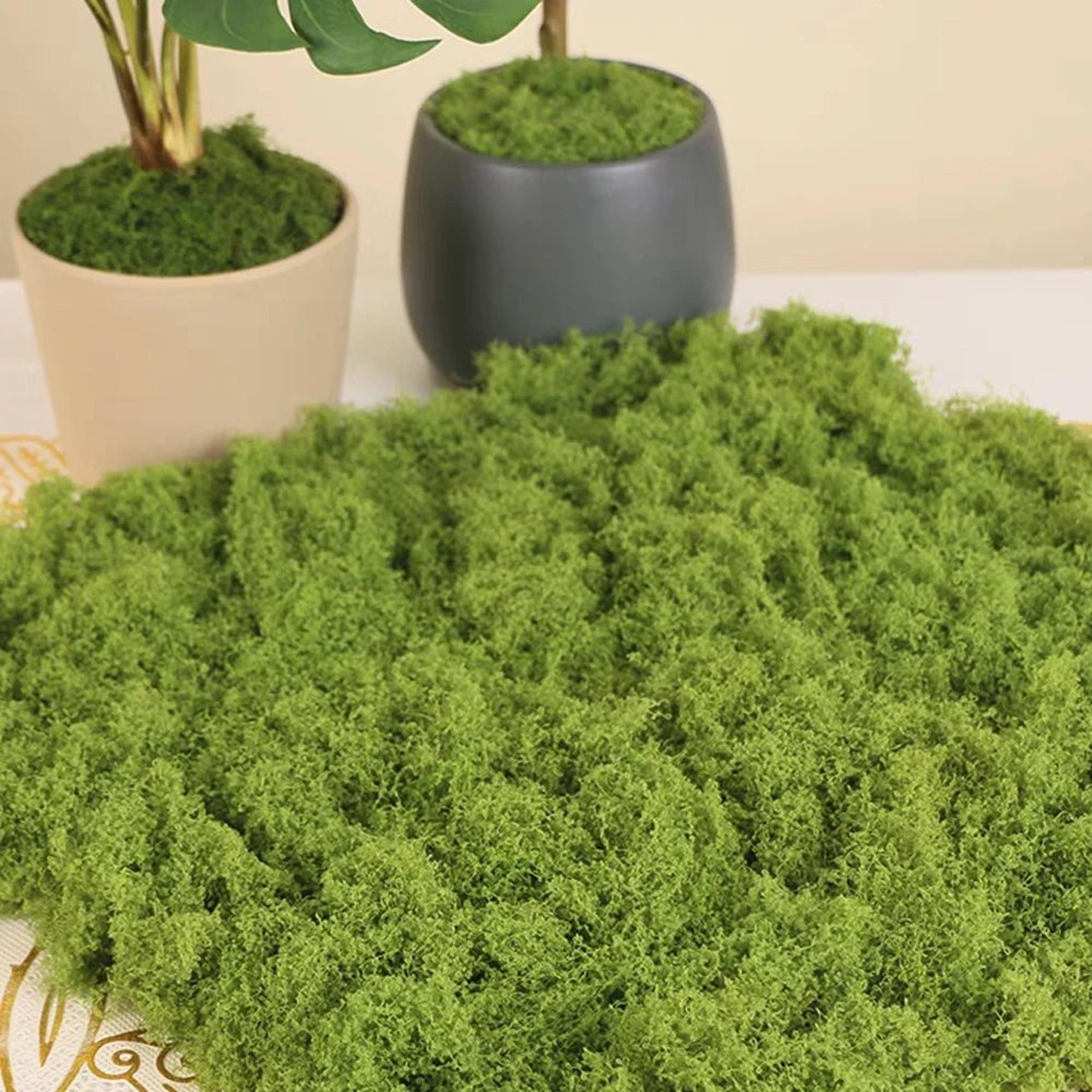 Artificial Moss Mini Landscape Grass For DIY Crafts And Decor 3