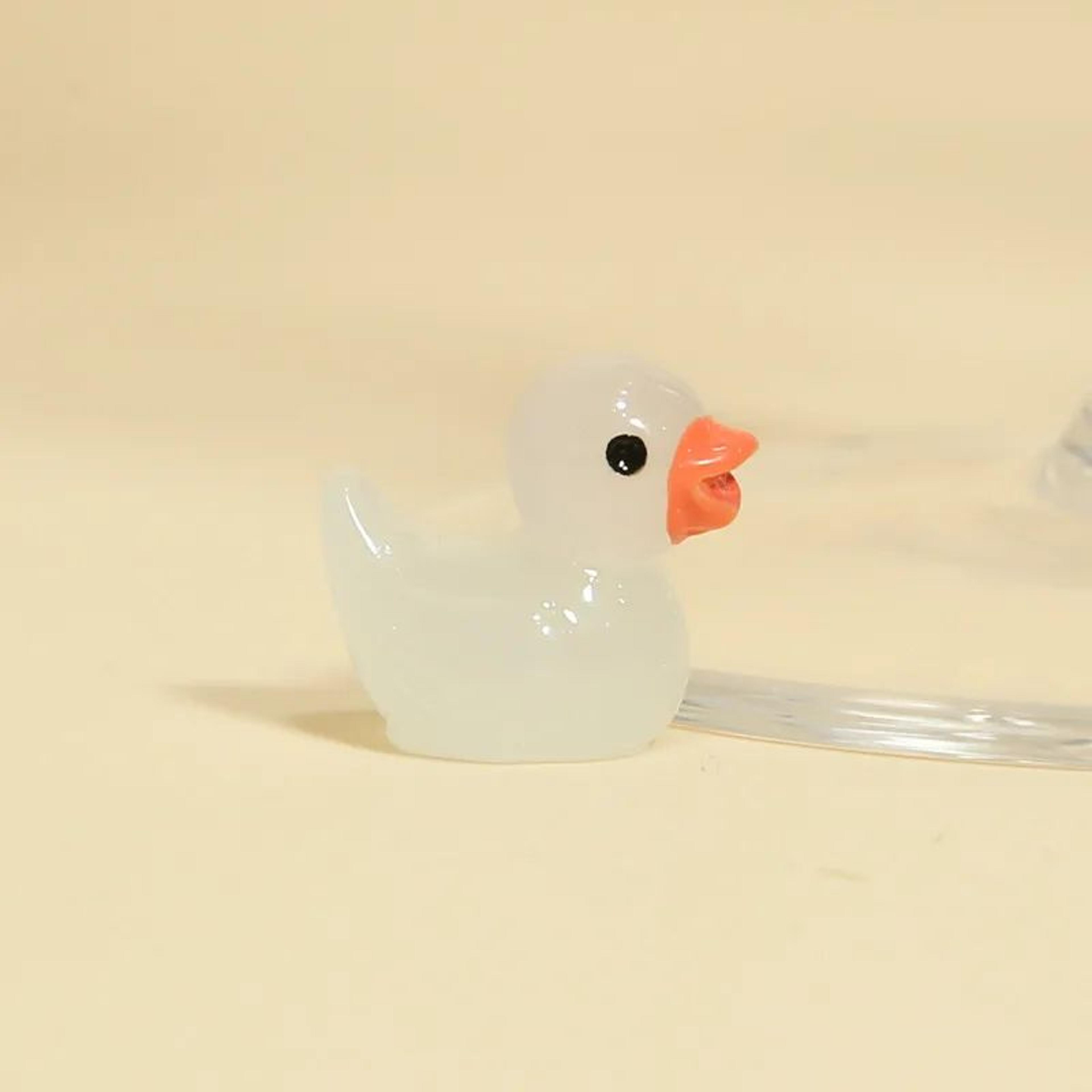 Glow In The Dark Mini Duck Figurines 16