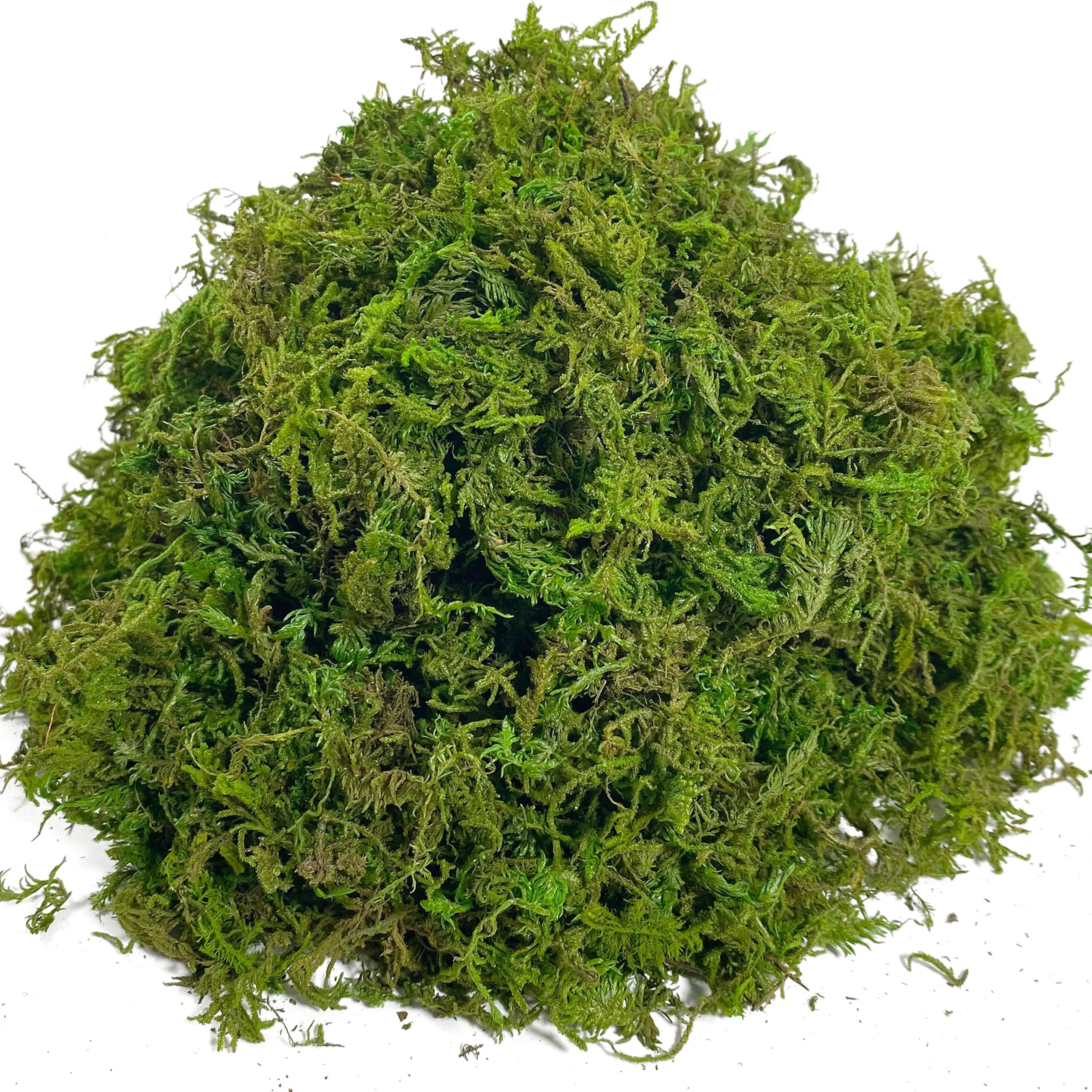 Artificial Moss Craft Decor For Plants And DIY 14