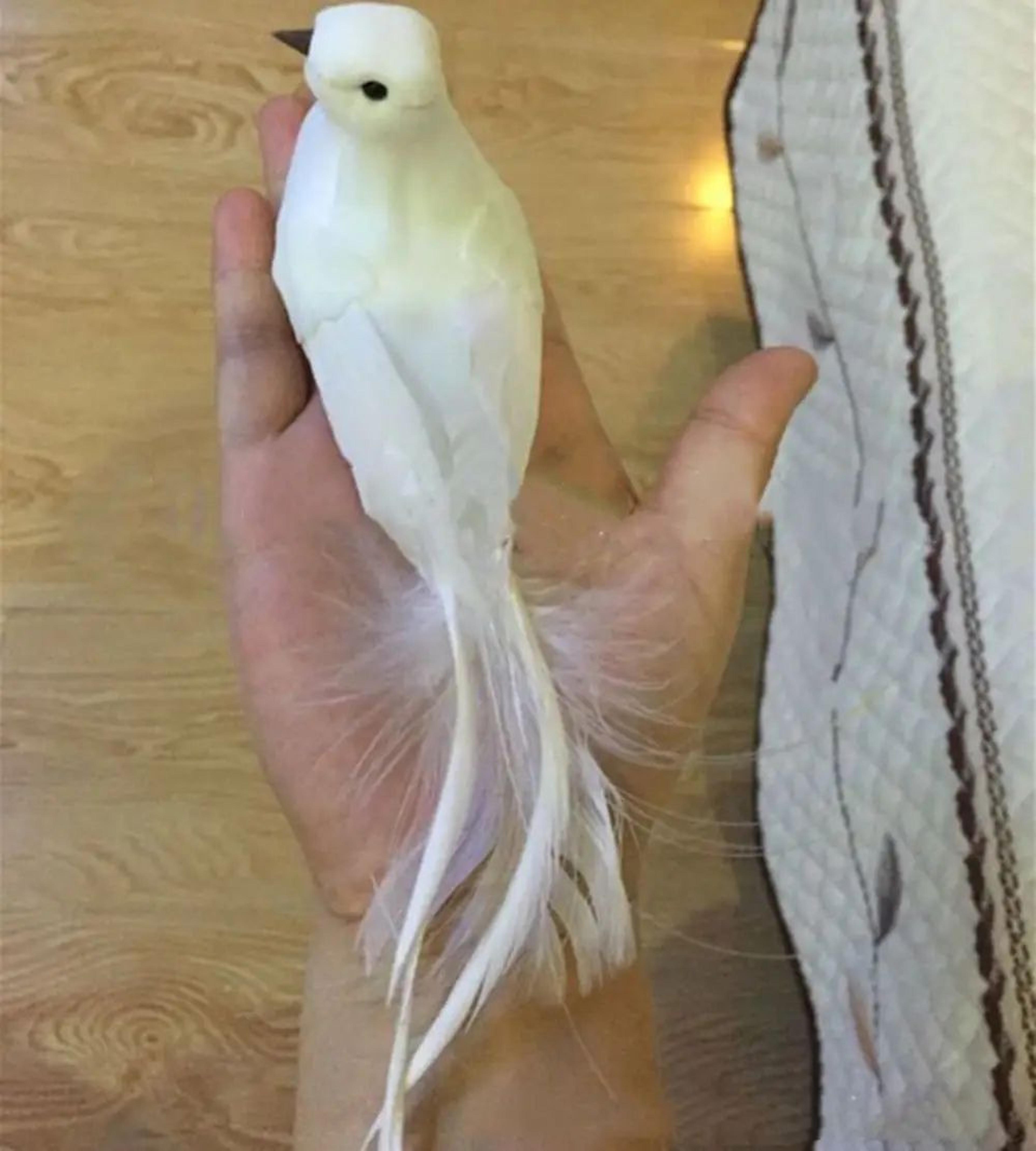 Artificial Dove Bird Decor Realistic Pigeon For Home And Events 11