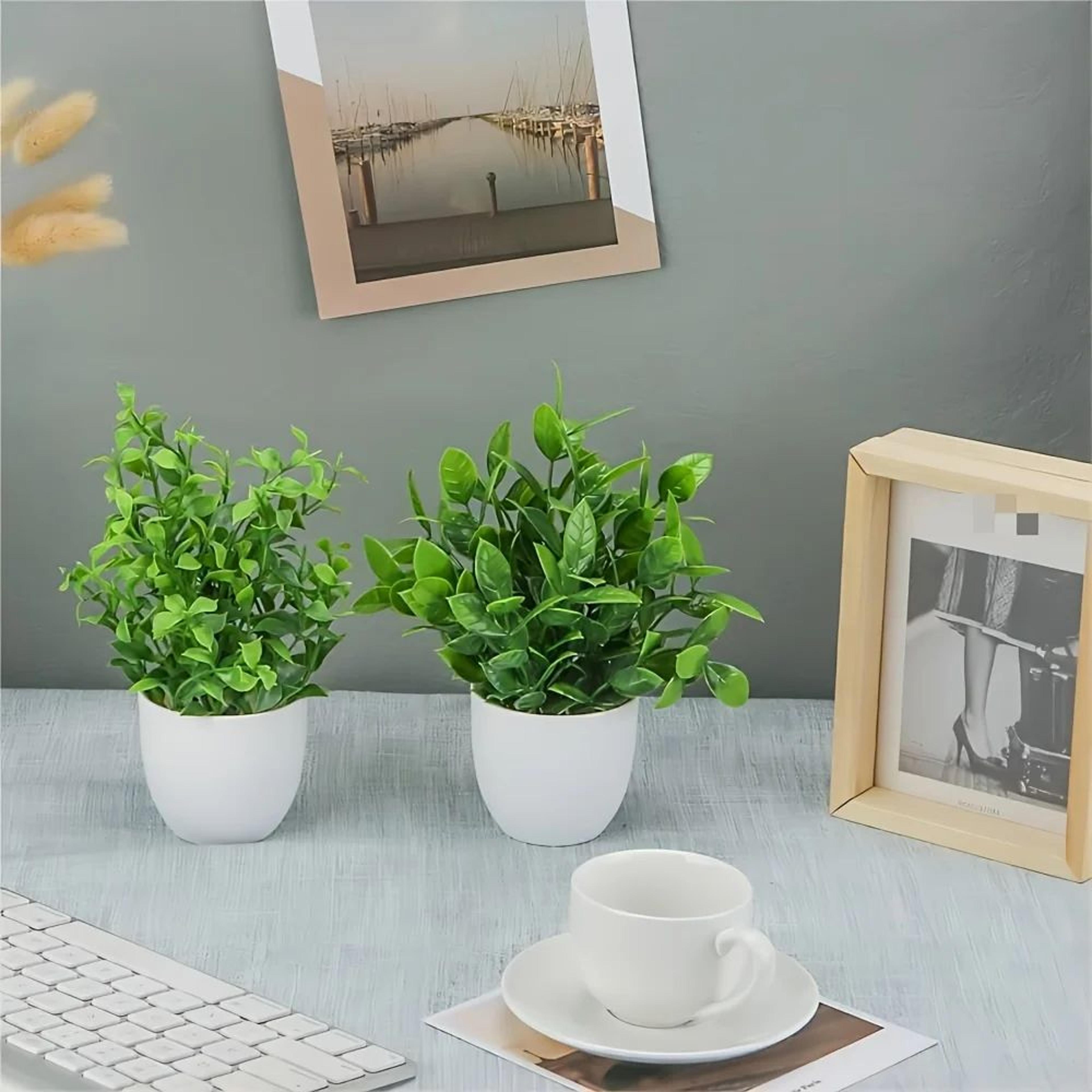 Mini Artificial Potted Plants Set 2