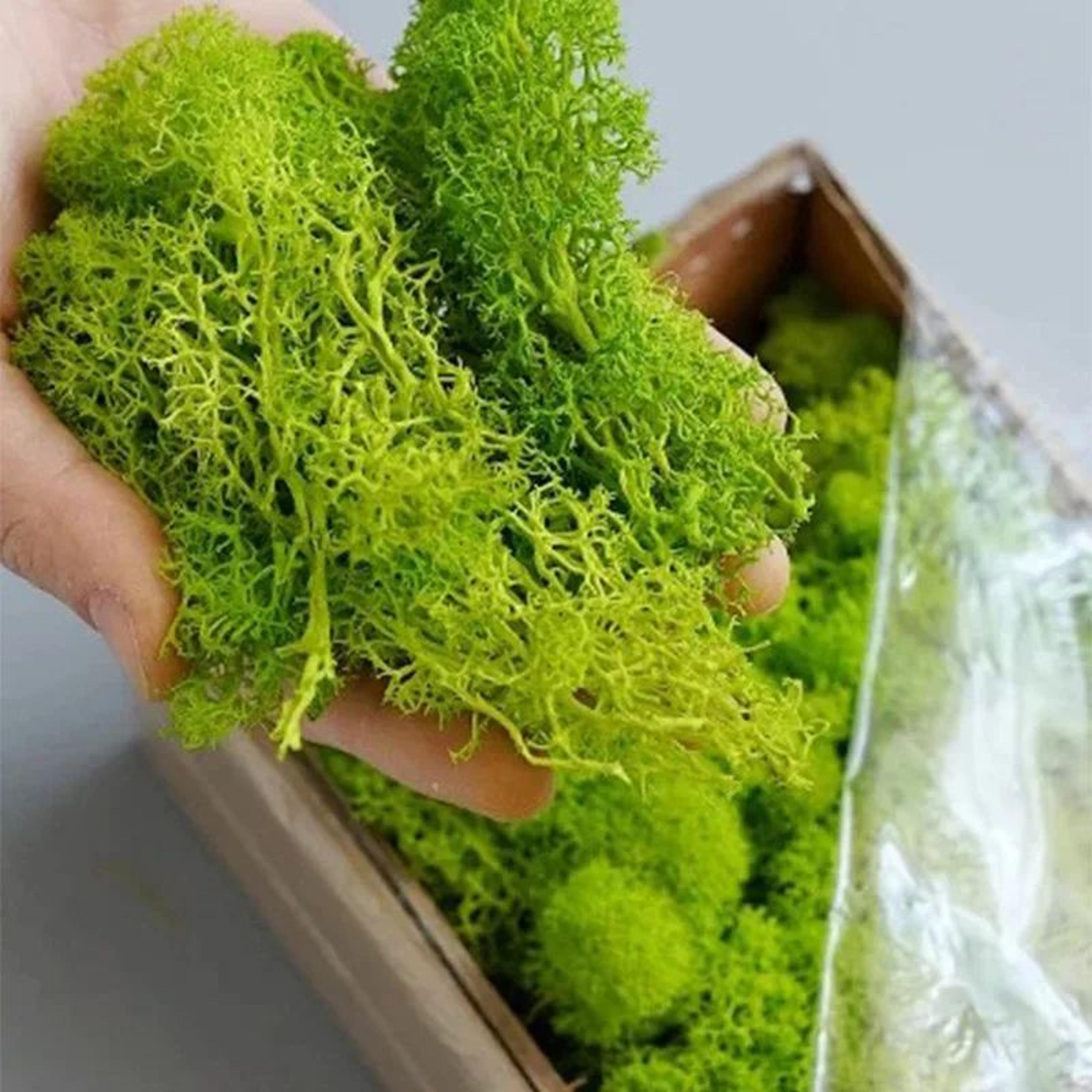 Artificial Moss Grass DIY Decor 4