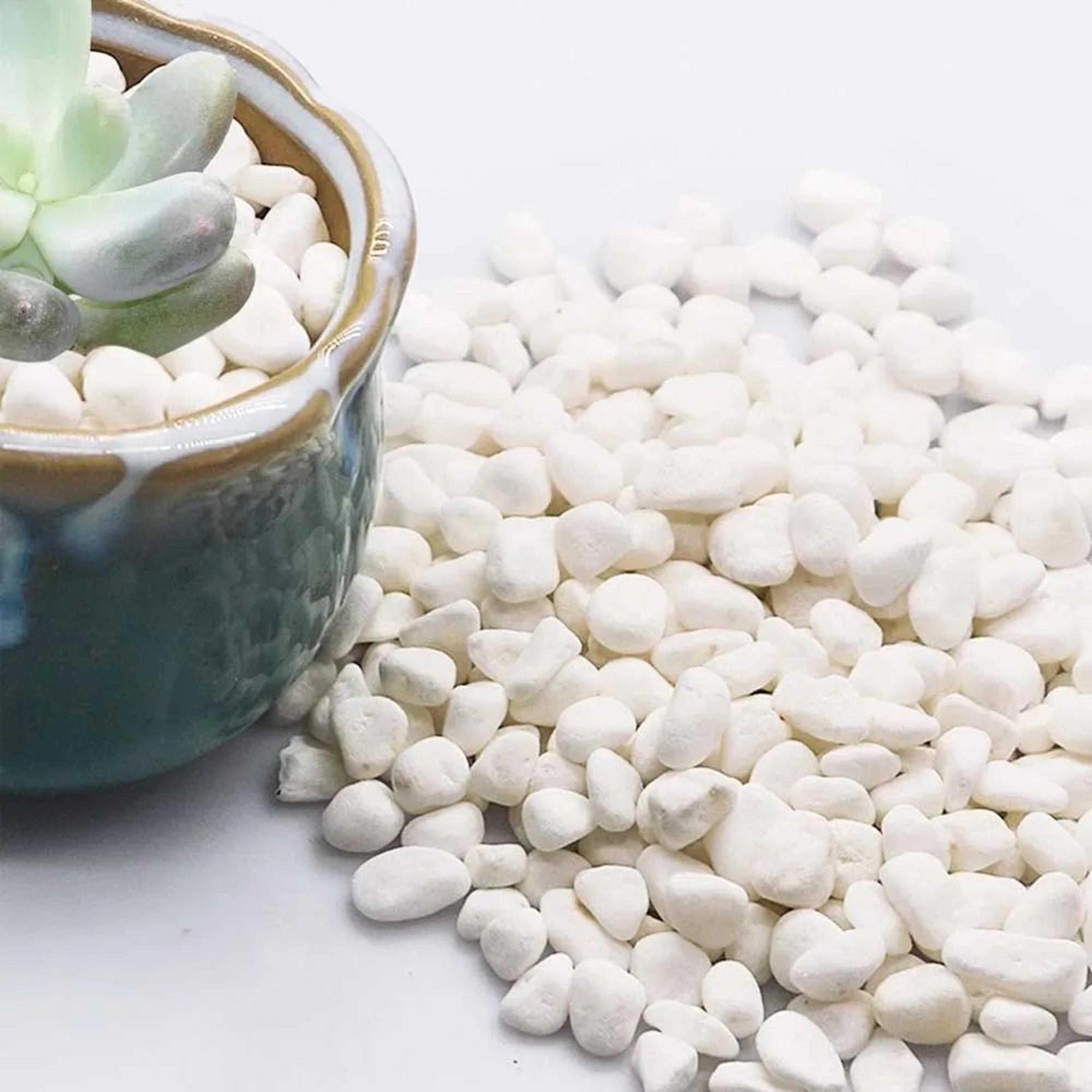 Decorative Pebble Stones For Plants And Crafts 1