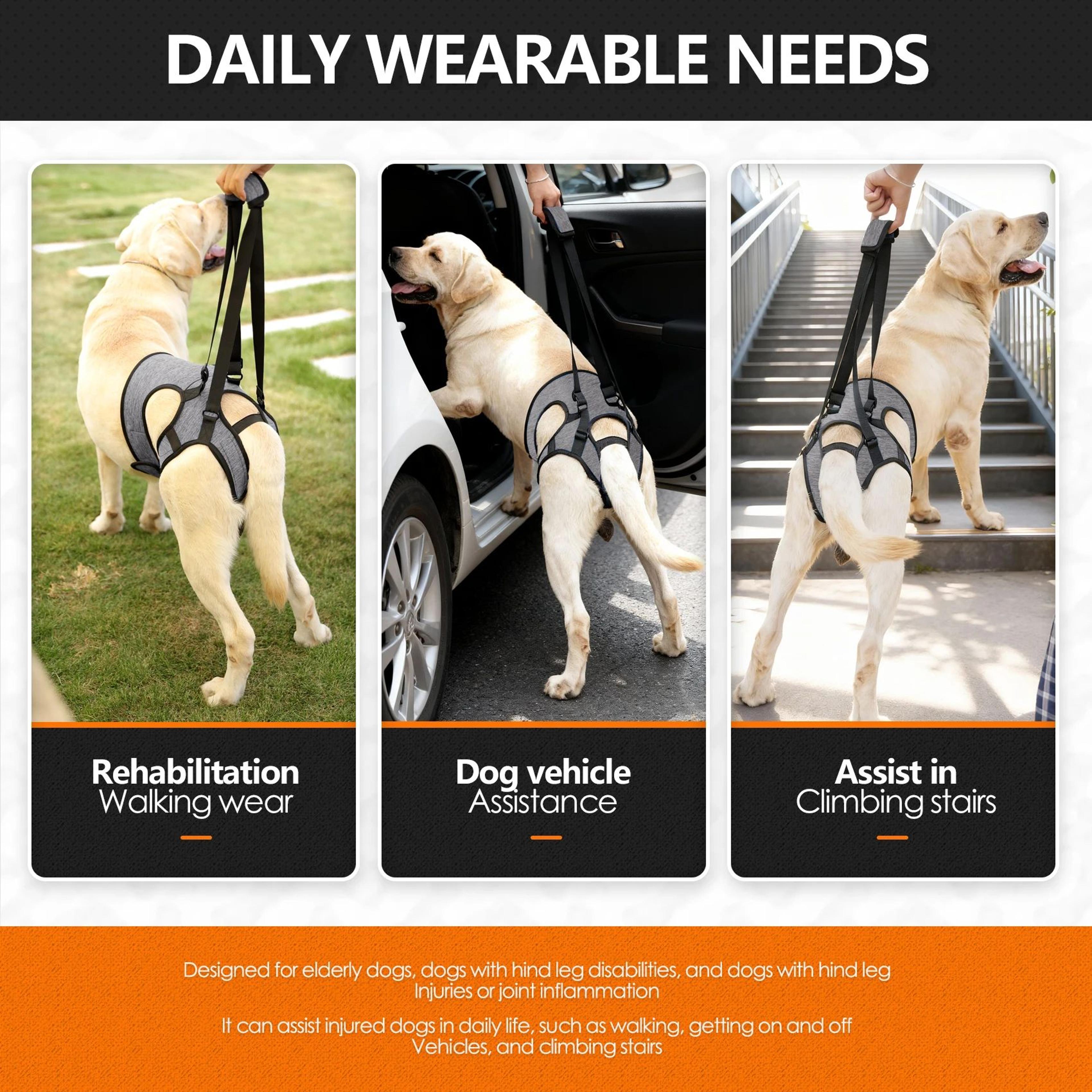 Adjustable Dog Lift Harness For Hind Leg Support 4