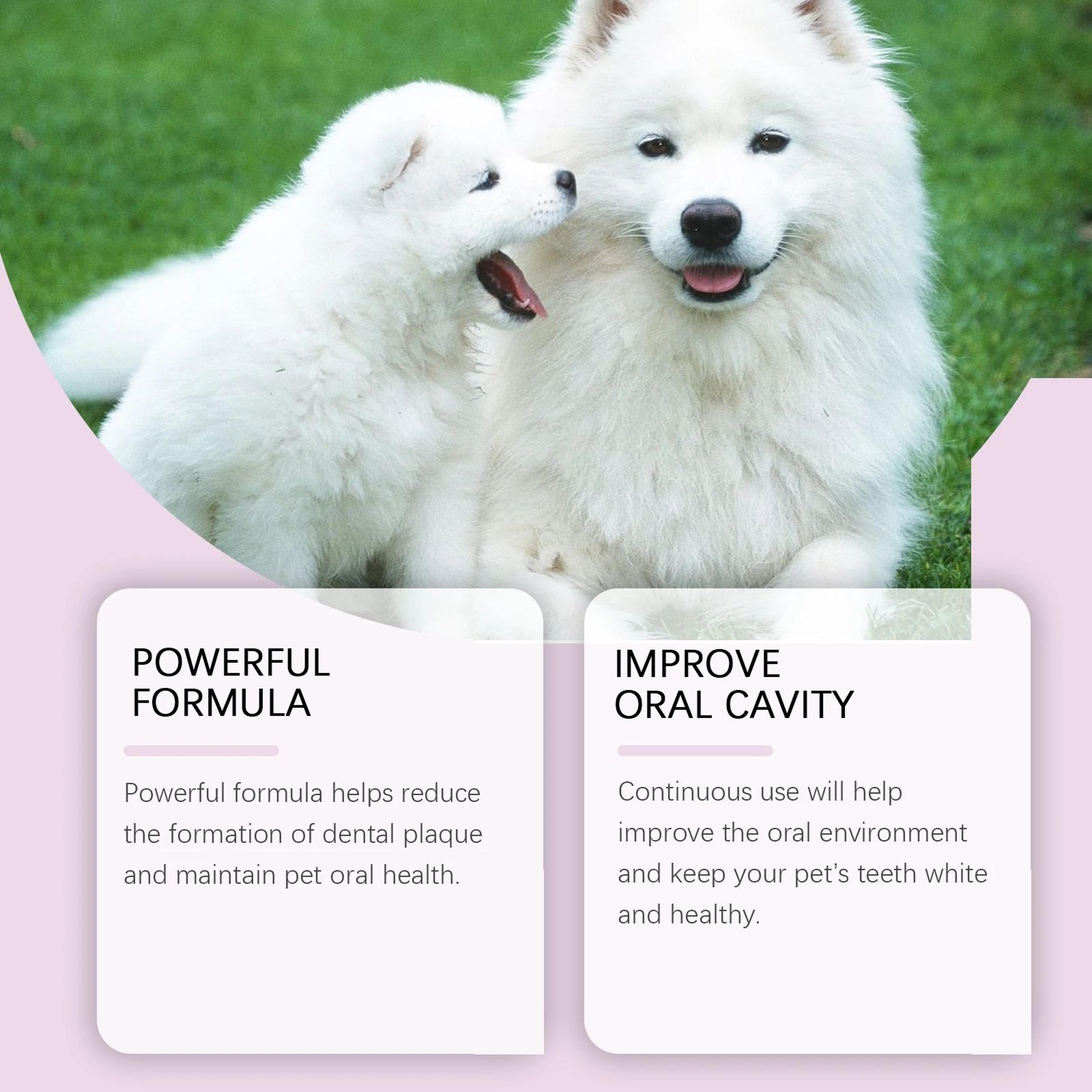Pet Teeth Cleaning Spray For Fresh Breath 2
