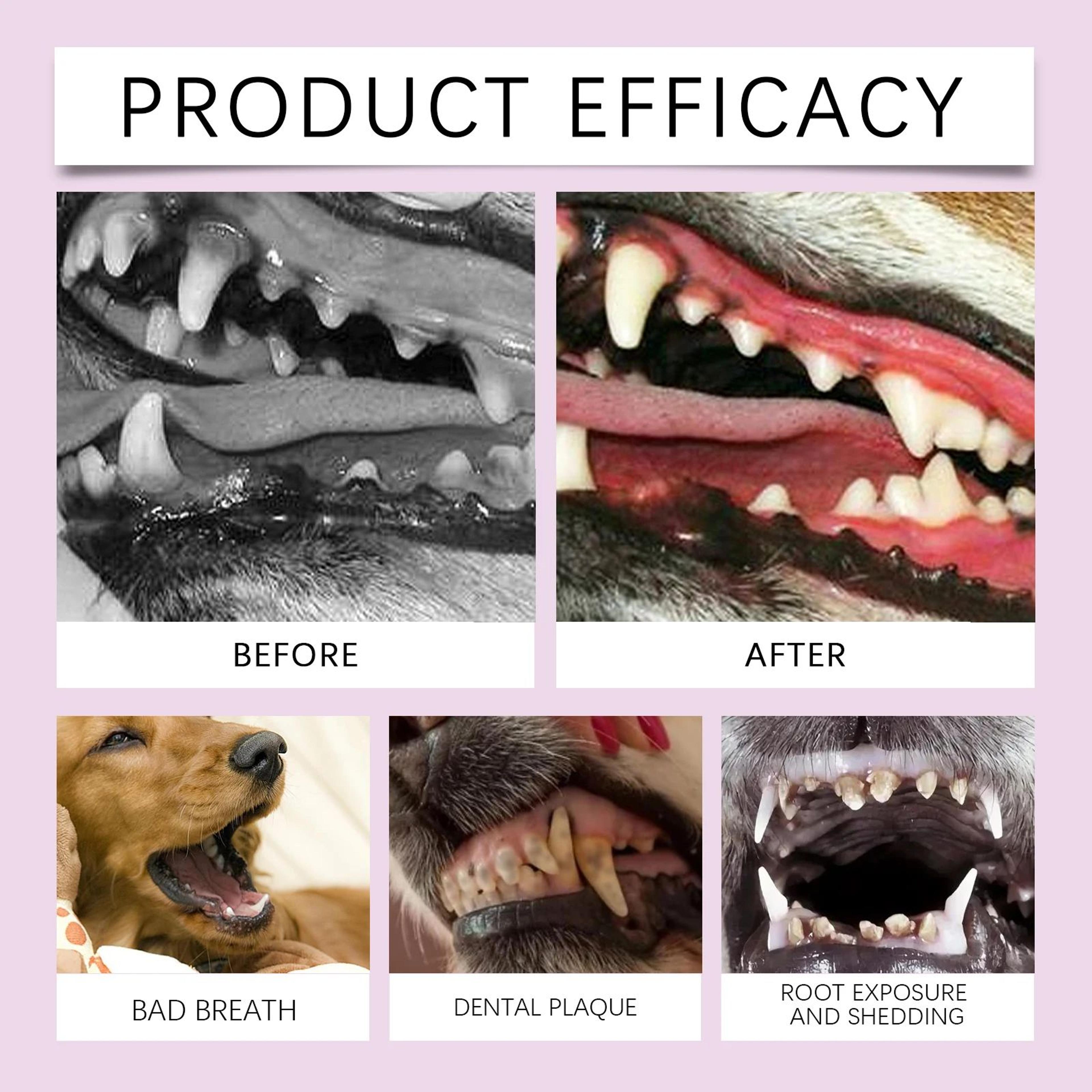 Pet Teeth Cleaning Spray For Fresh Breath 8
