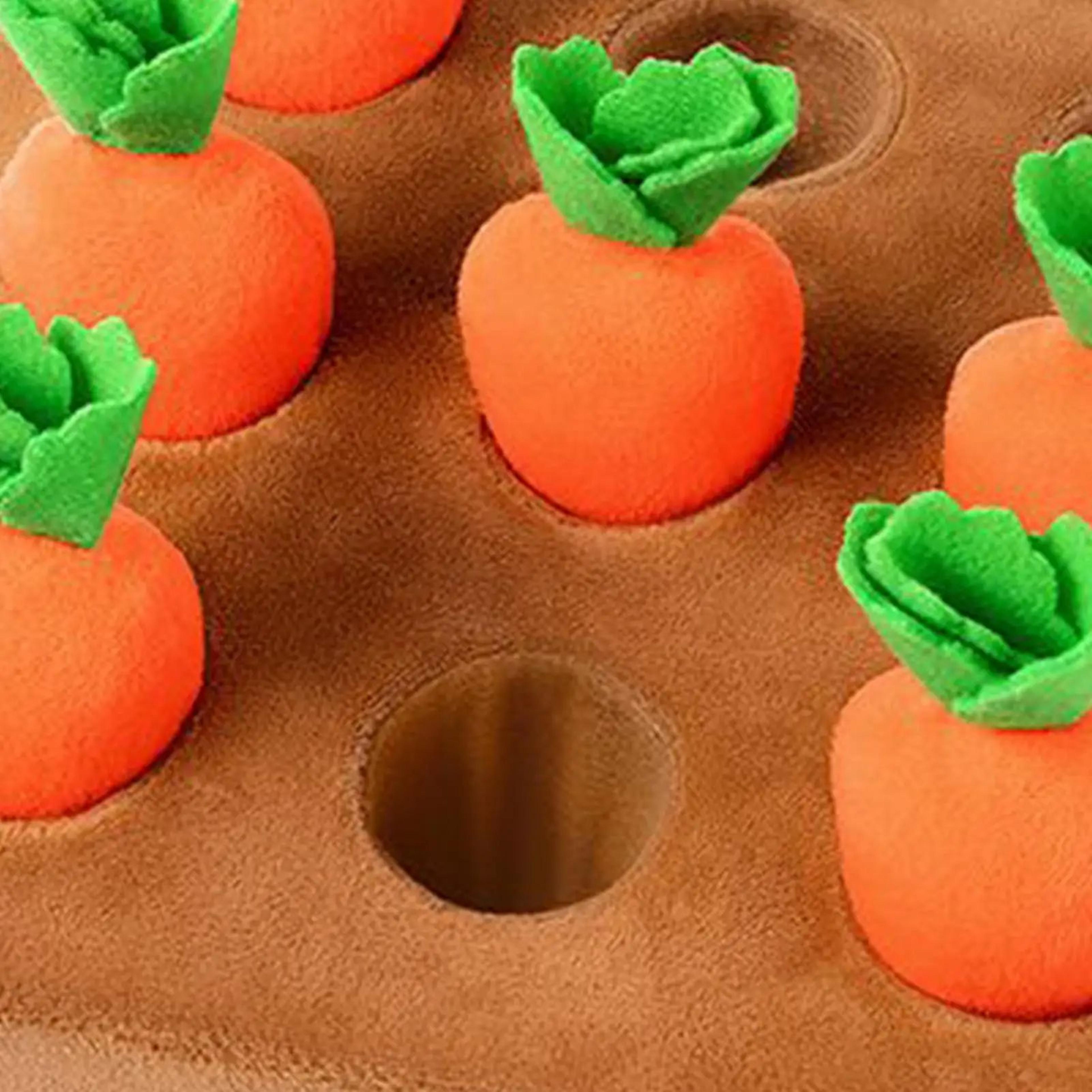 Interactive Carrot Snuffle Mat Dog Puzzle Toy 1