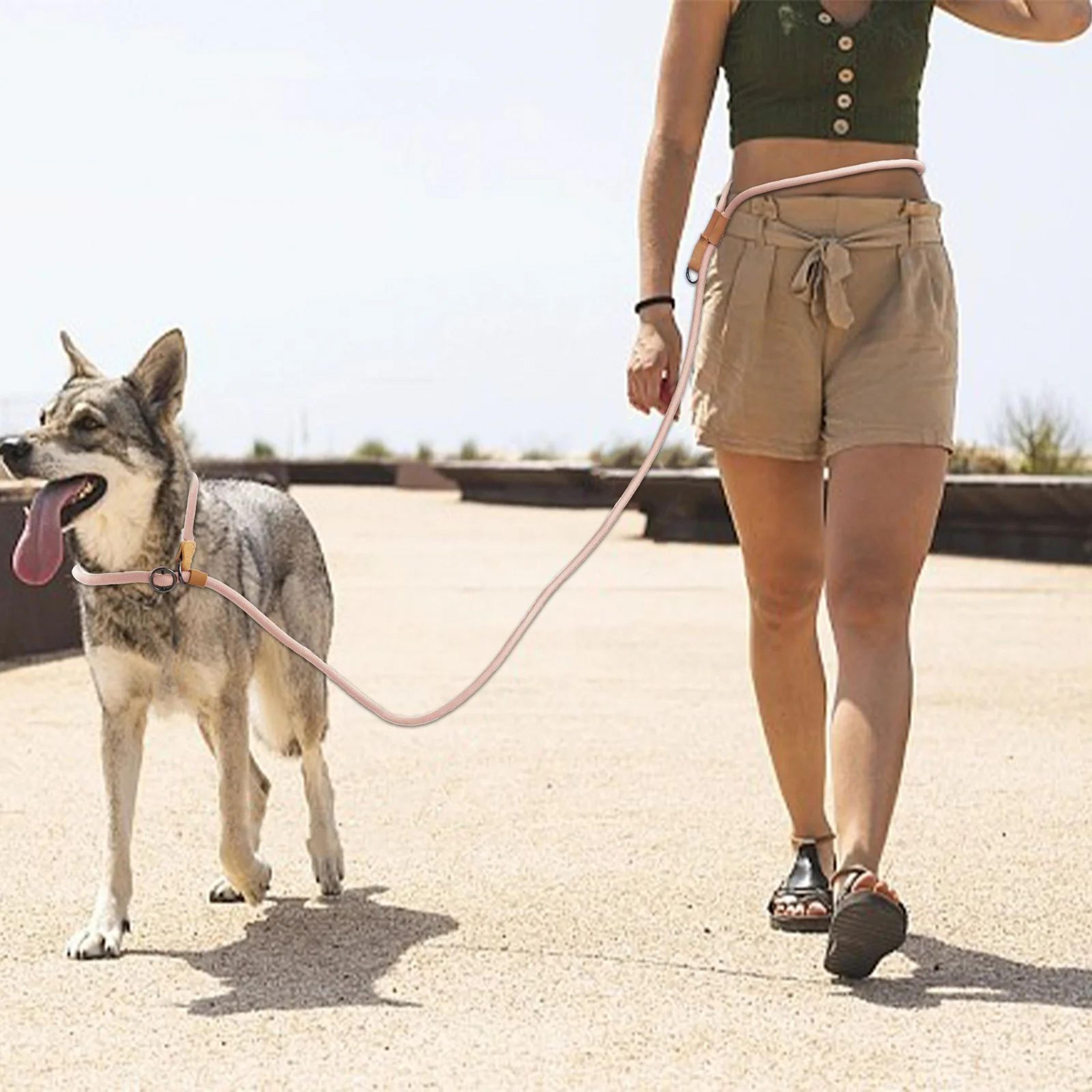 Adjustable Hands Free P Shape Dog Leash 0