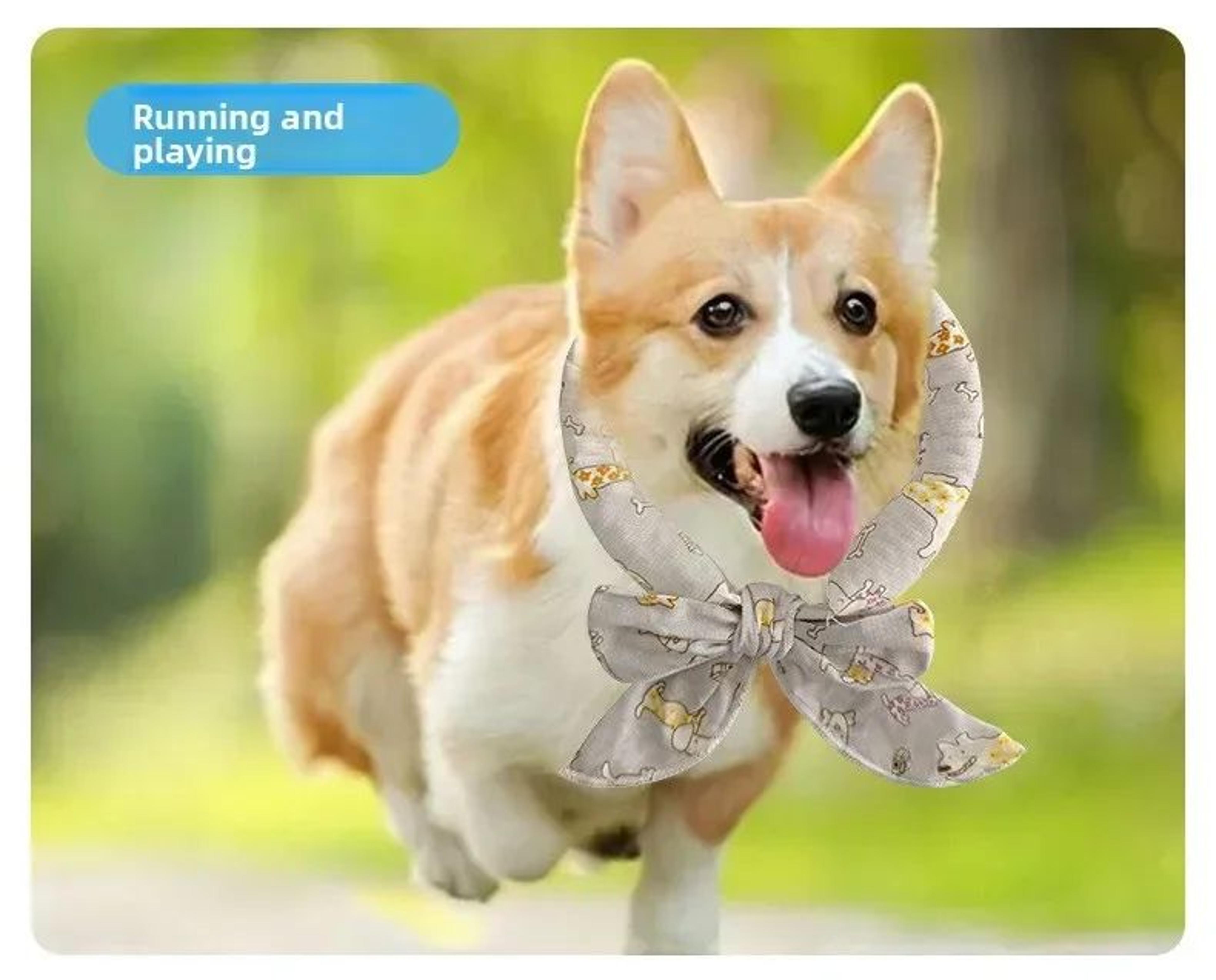 Summer Pet Cooling Scarf Ice Collar 10