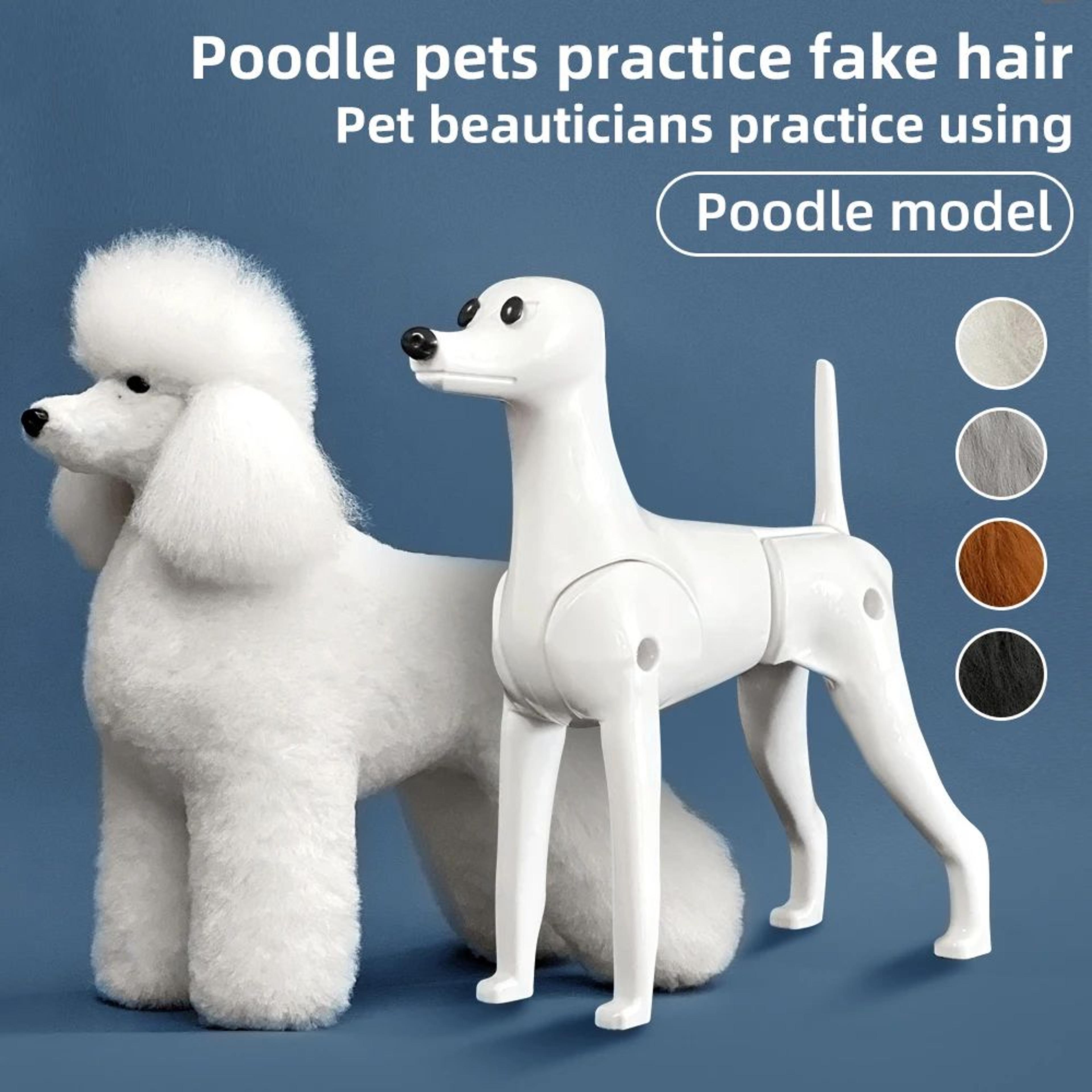 realistic poodle grooming practice dog model