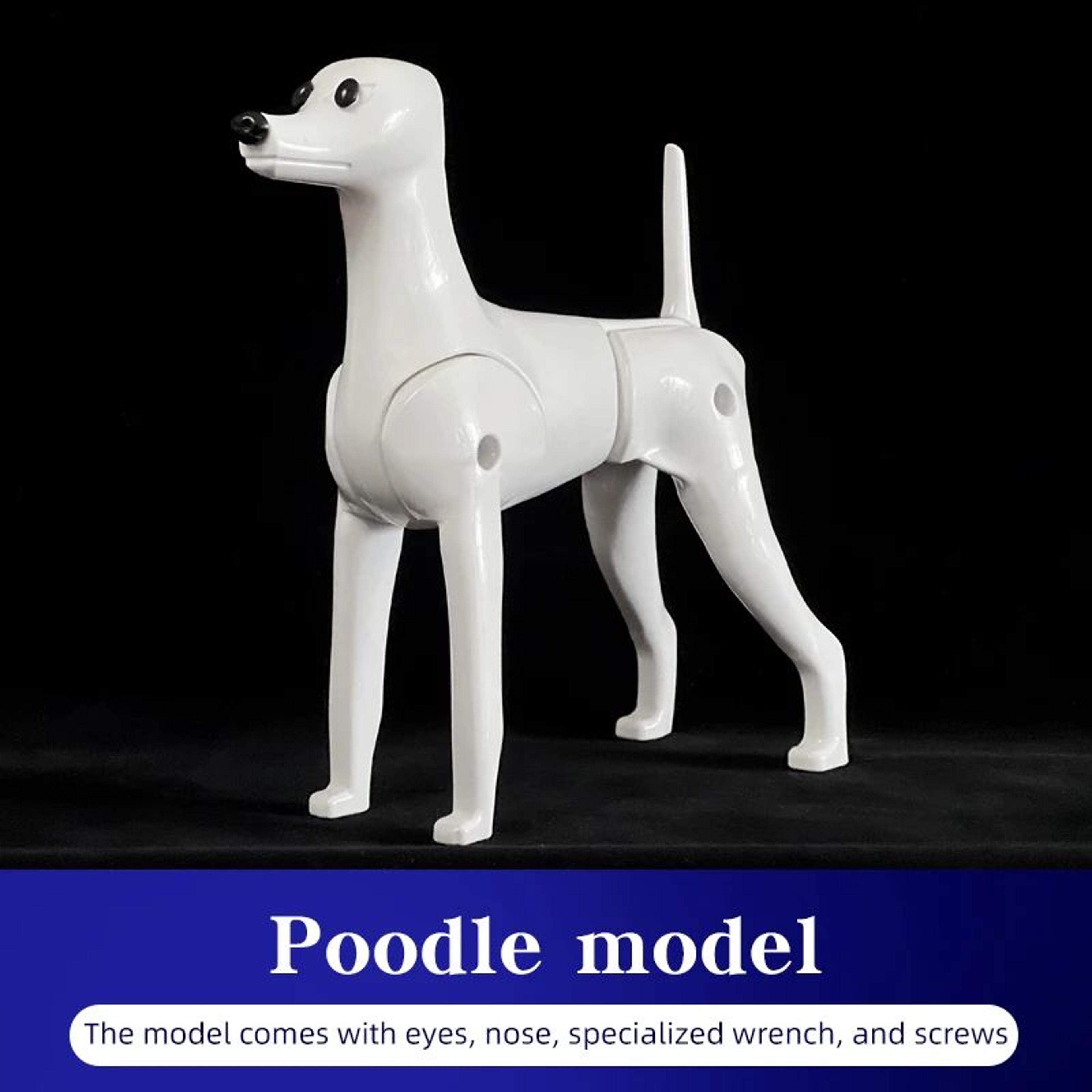 Realistic Poodle Grooming Practice Dog Model 6