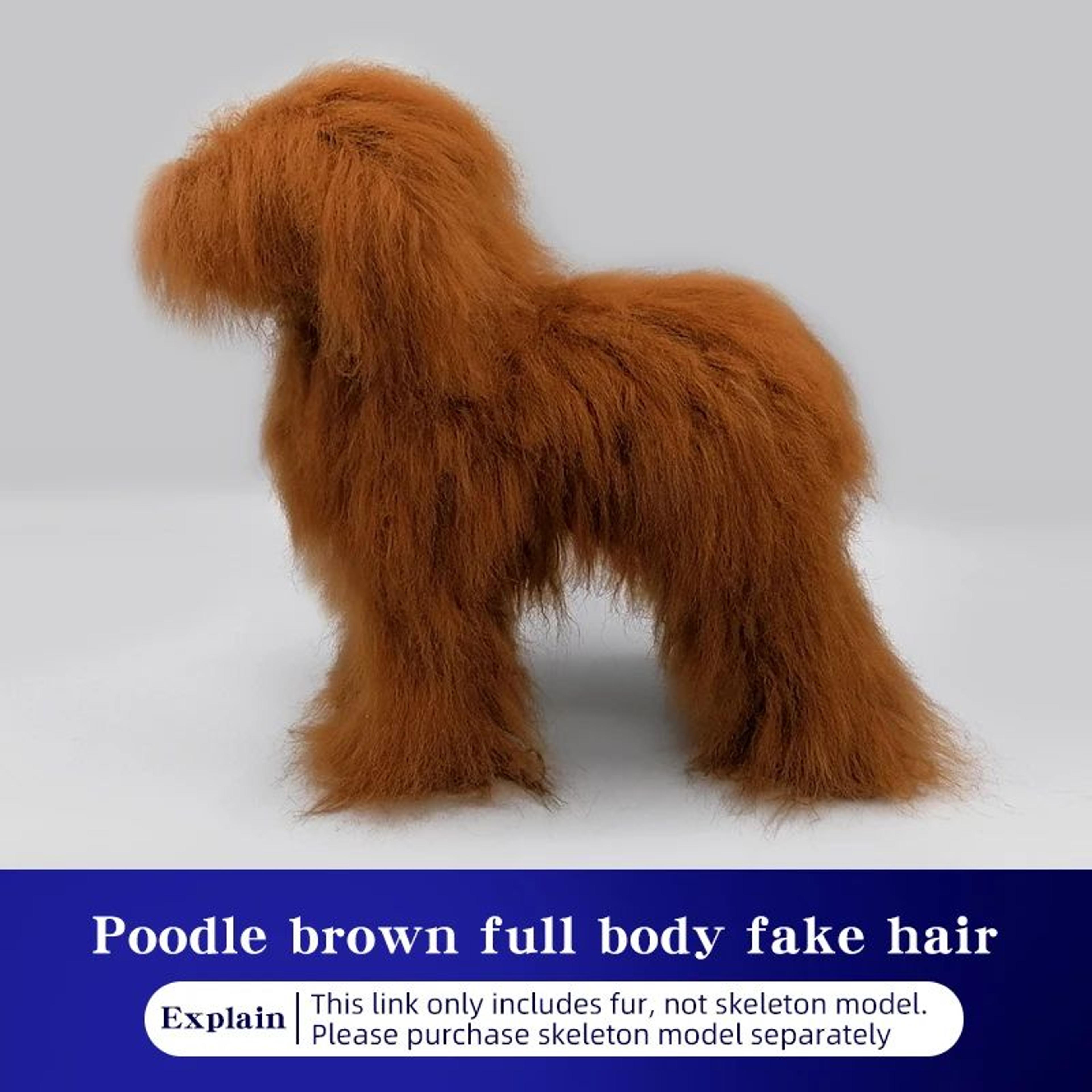 Realistic Poodle Grooming Practice Dog Model 10