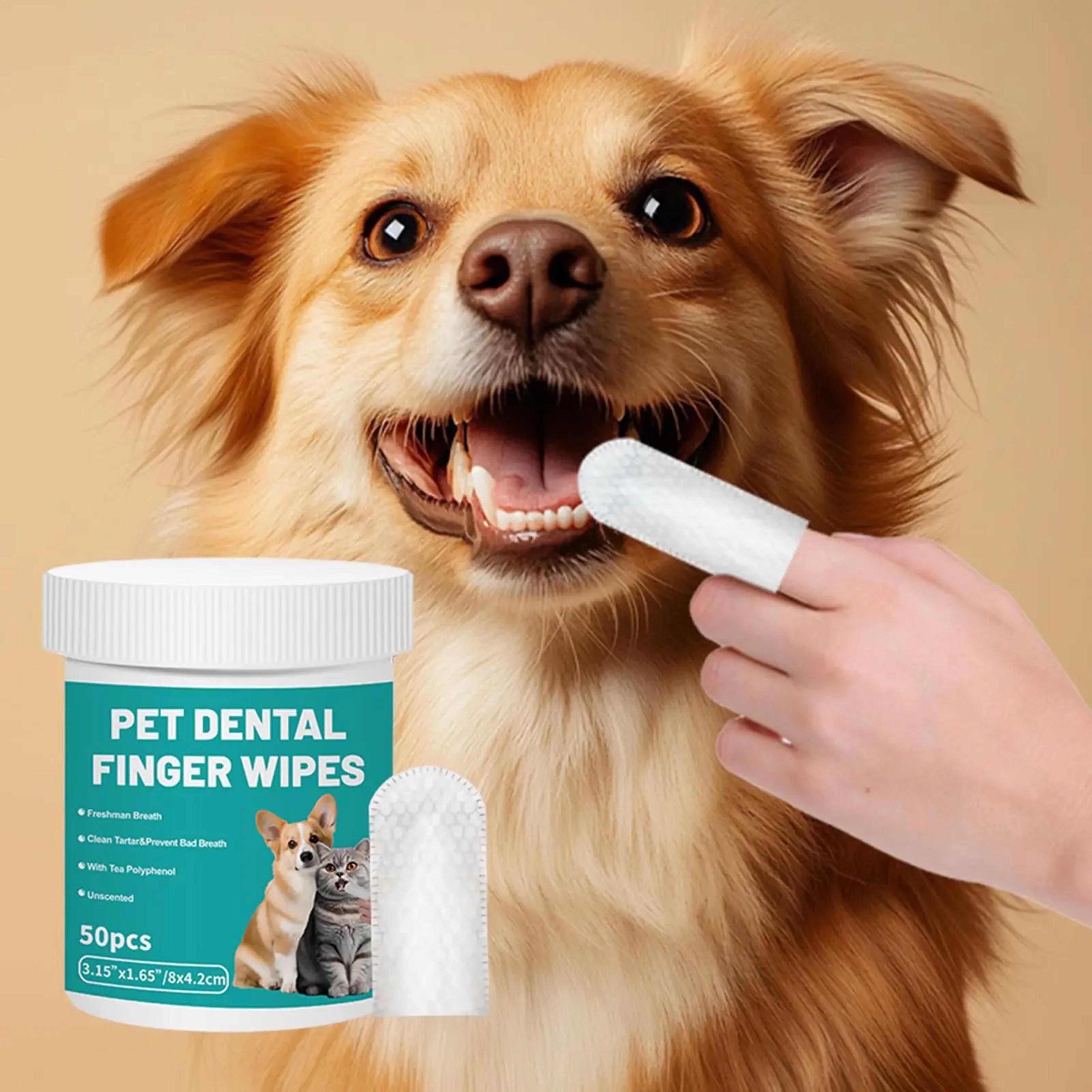 disposable pet dental finger wipes for dogs and cats