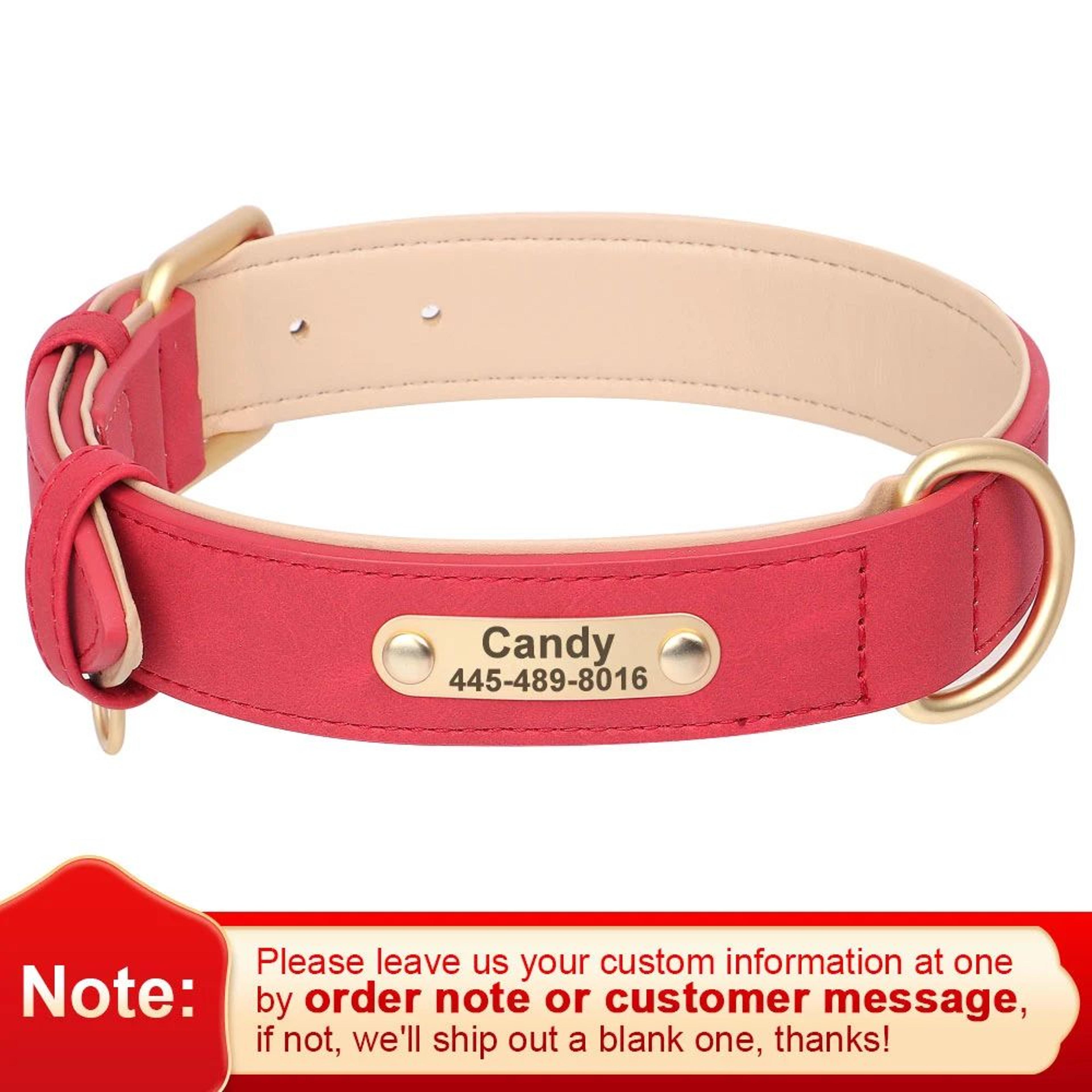Personalized PU Leather Dog Collar With Engraved Nameplate 15