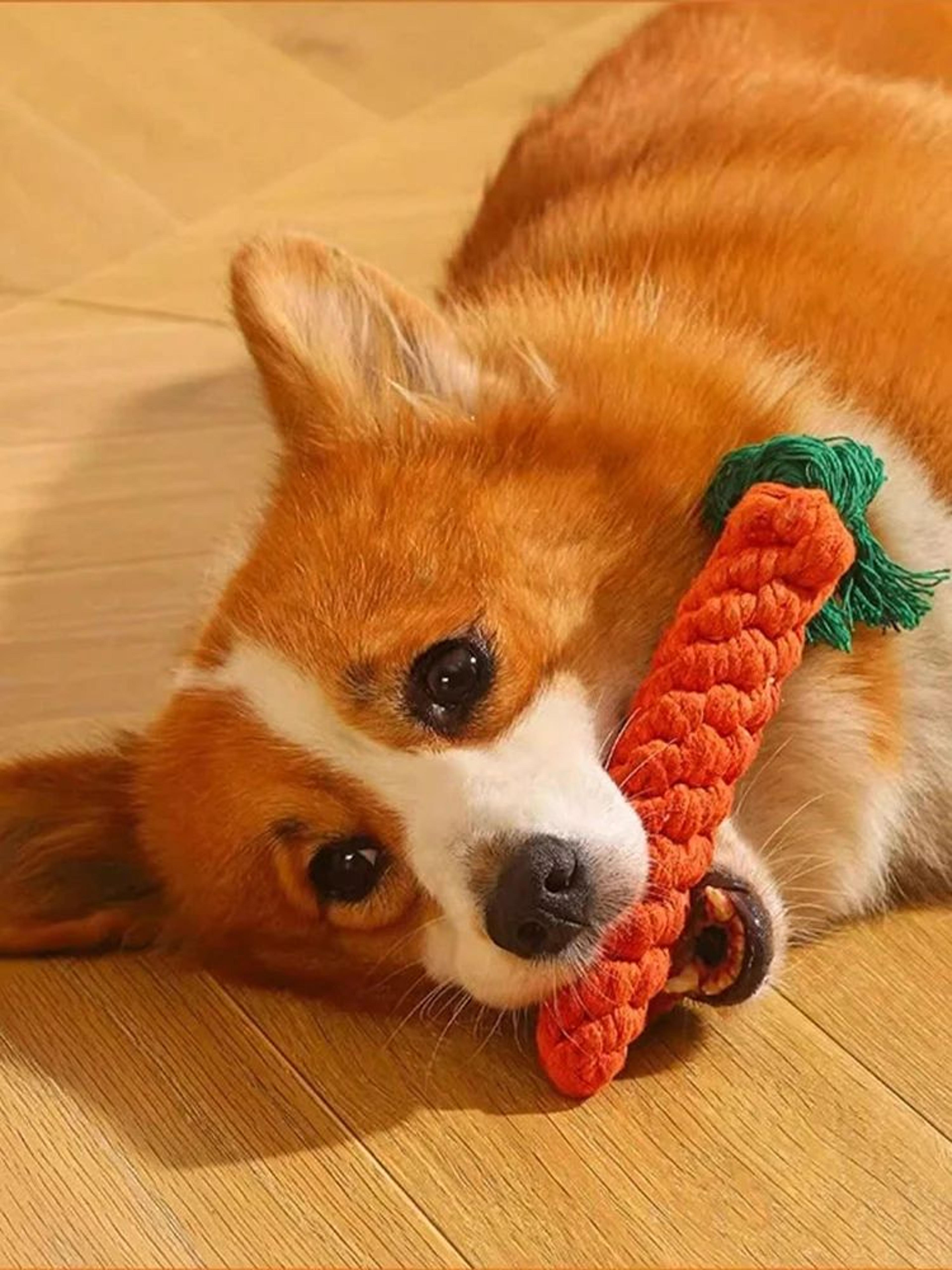 Hand Woven Cotton Rope Knot Dog Chew Toy 2