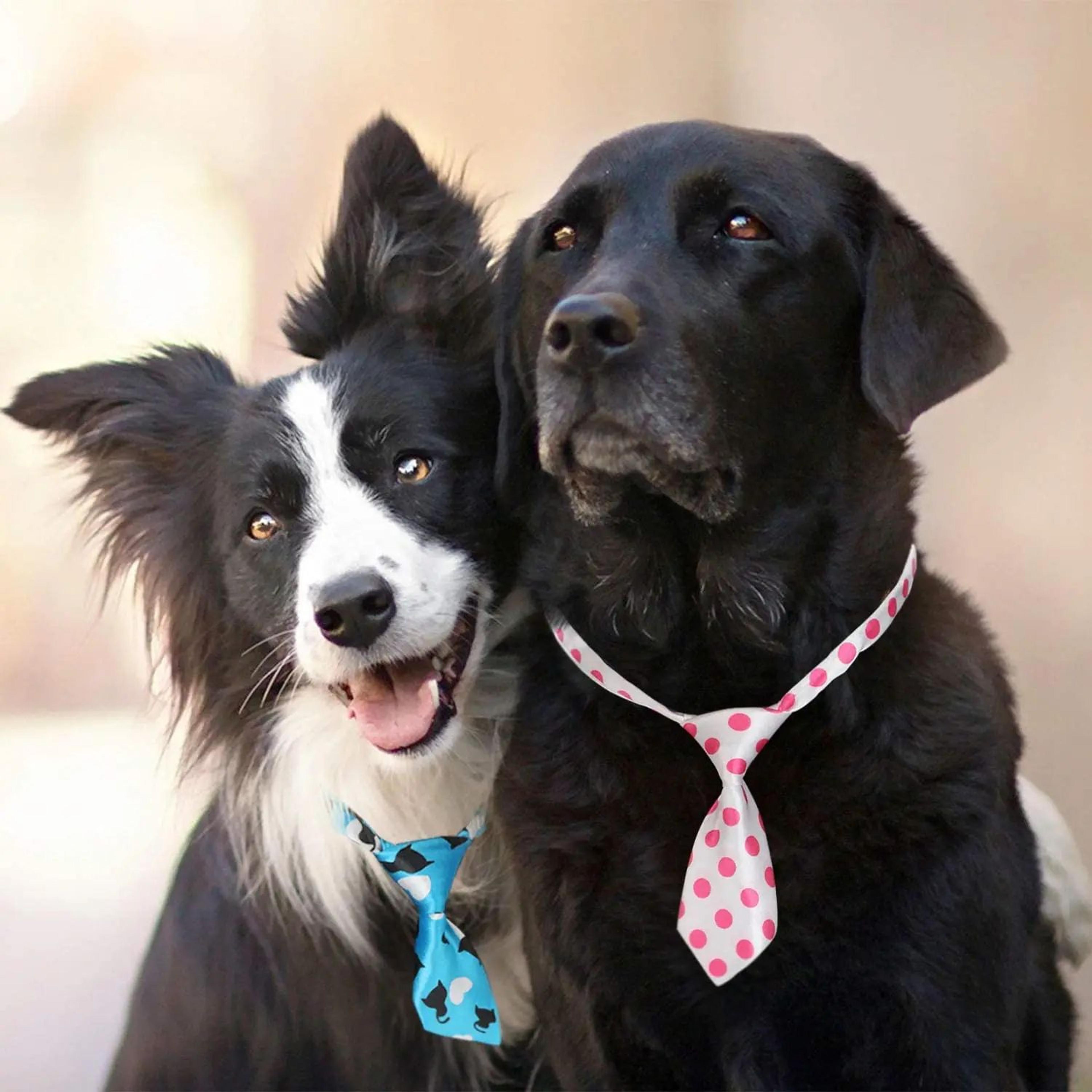 Adjustable Pet Bow Tie Accessories For Dogs And Cats 3
