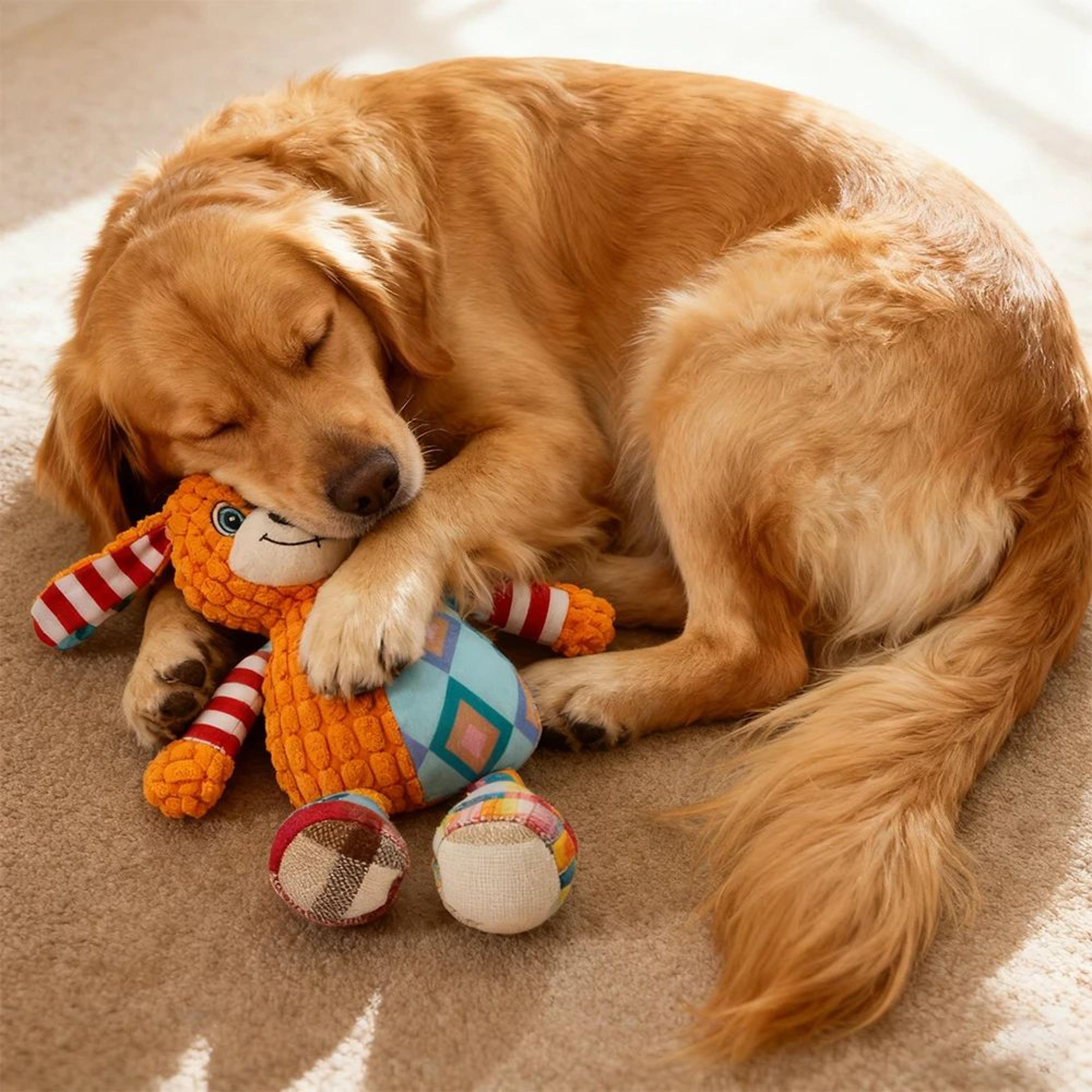 Interactive Plush Chew Toy For Dogs And Cats 5