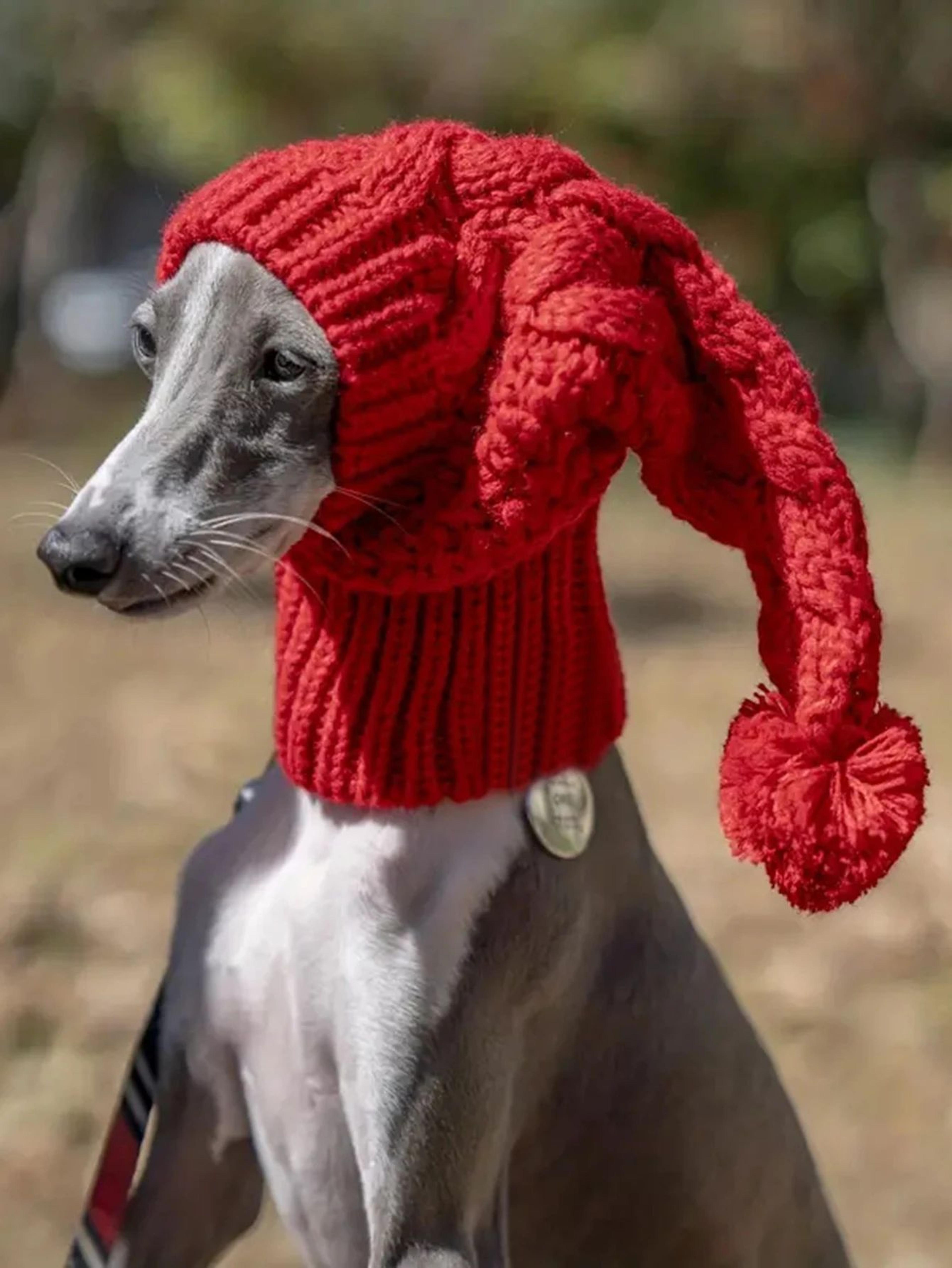 hand knit winter beanie hat for greyhound and large dogs