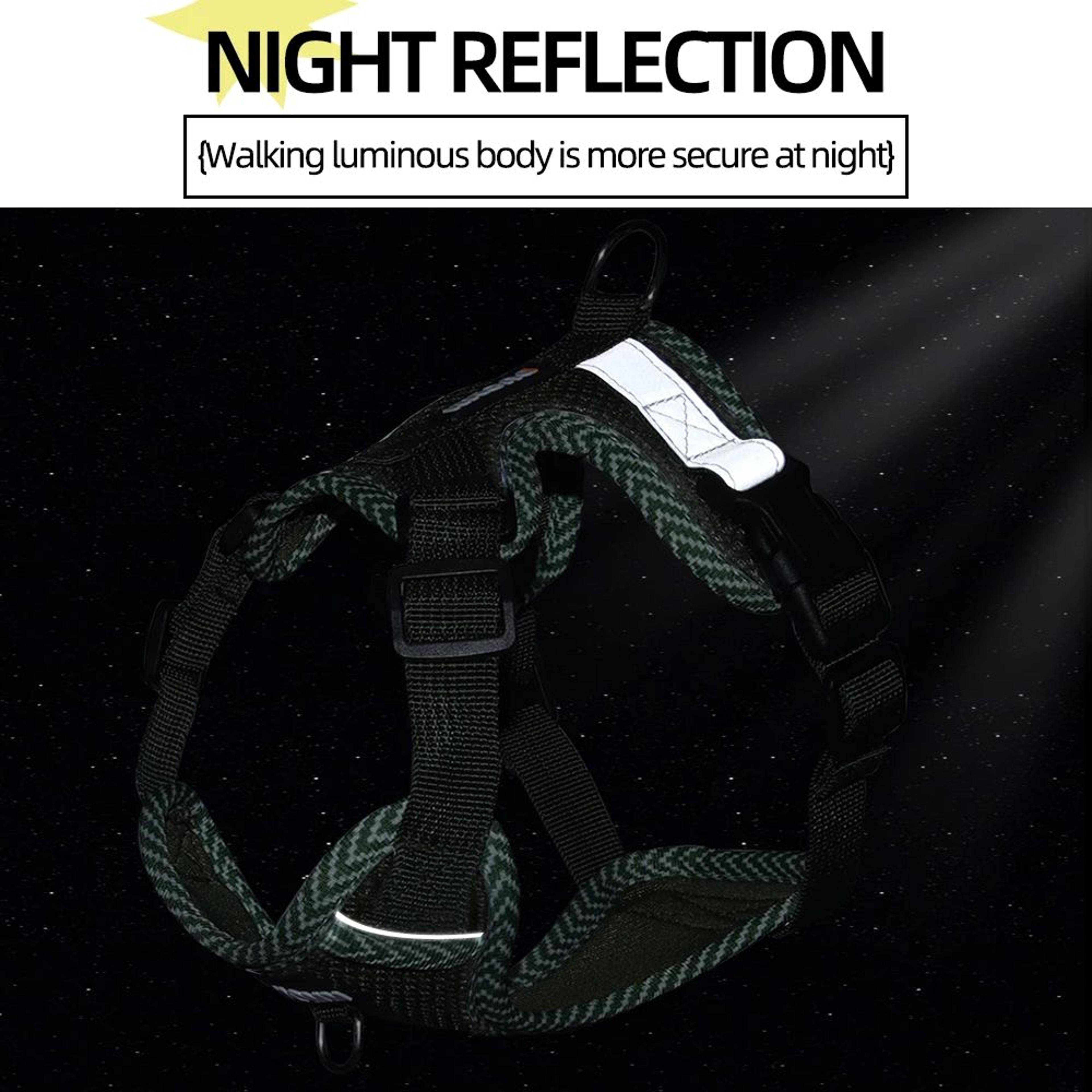 Breathable Reflective Dog Harness With Leash Set 4