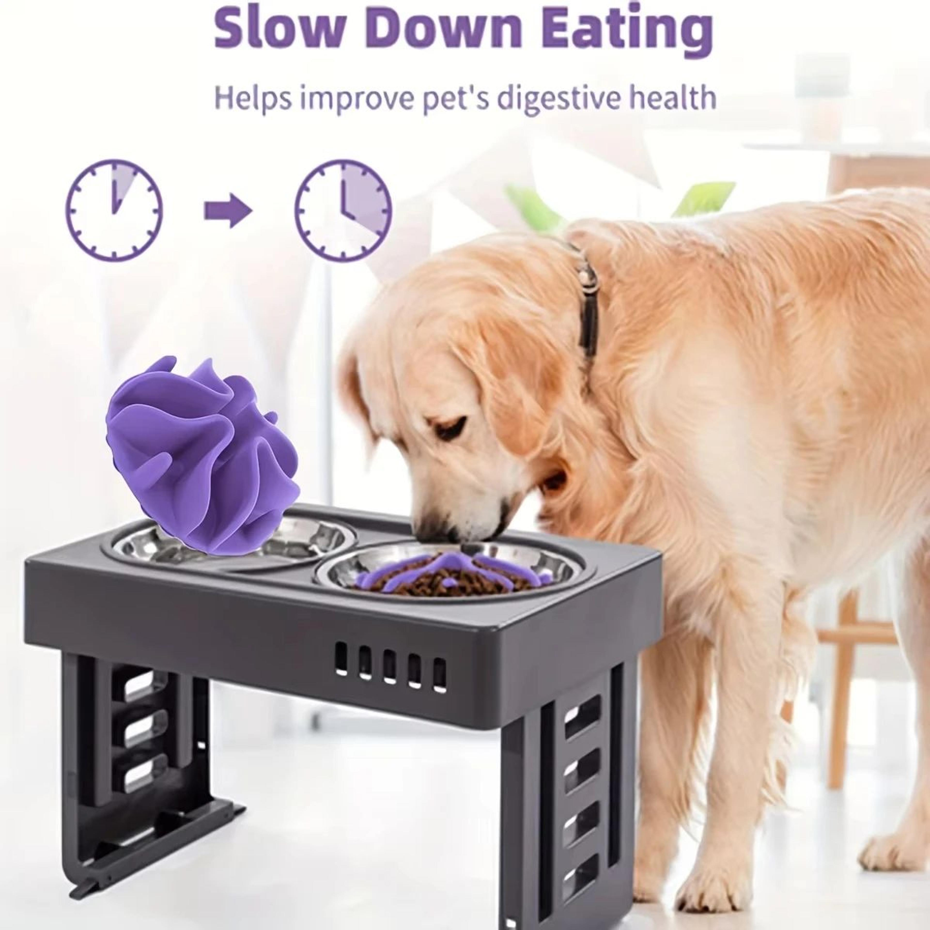 Soft Silicone Slow Feeder Dog Bowl Insert 2