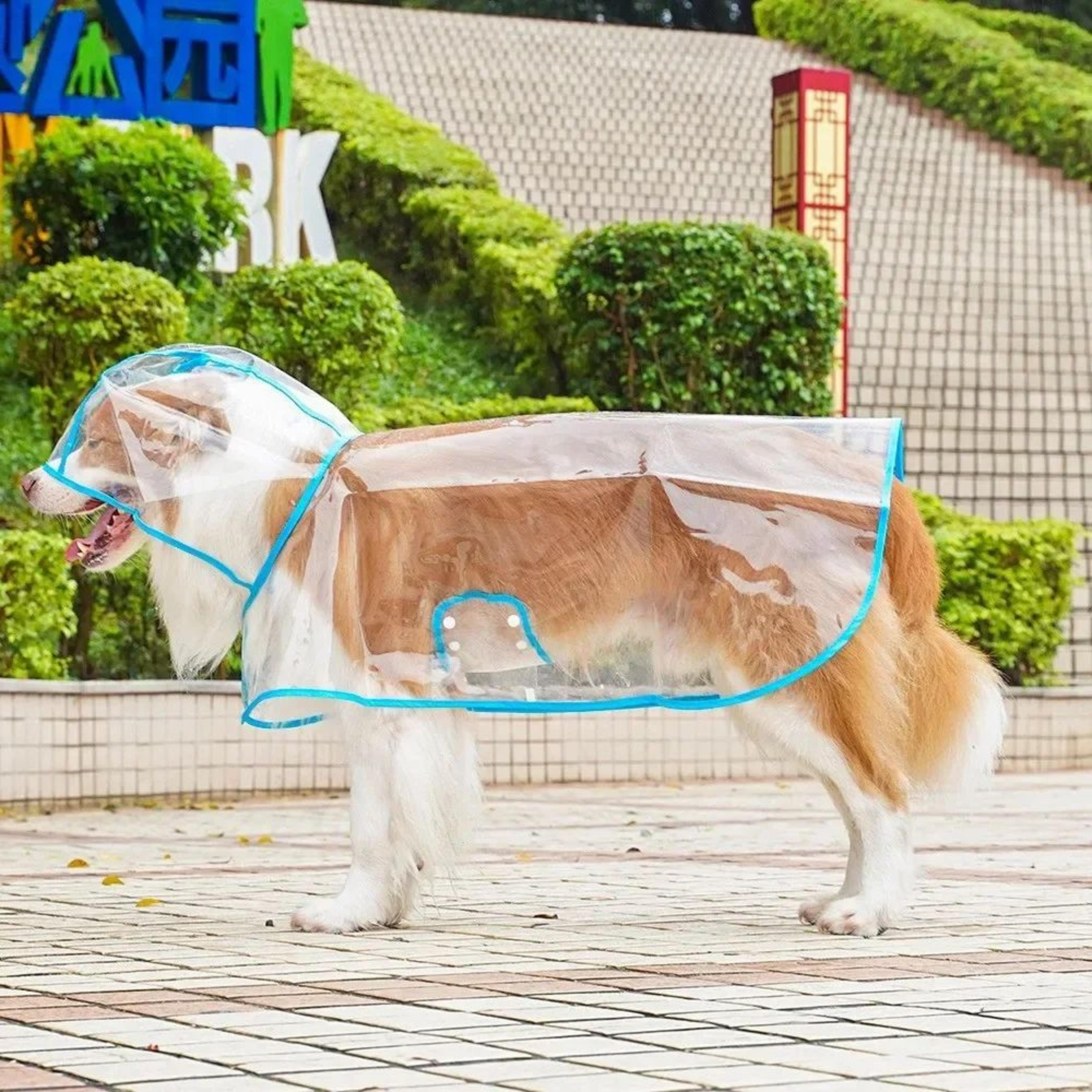 Transparent Waterproof Pet Raincoat For Small To Large Dogs 14