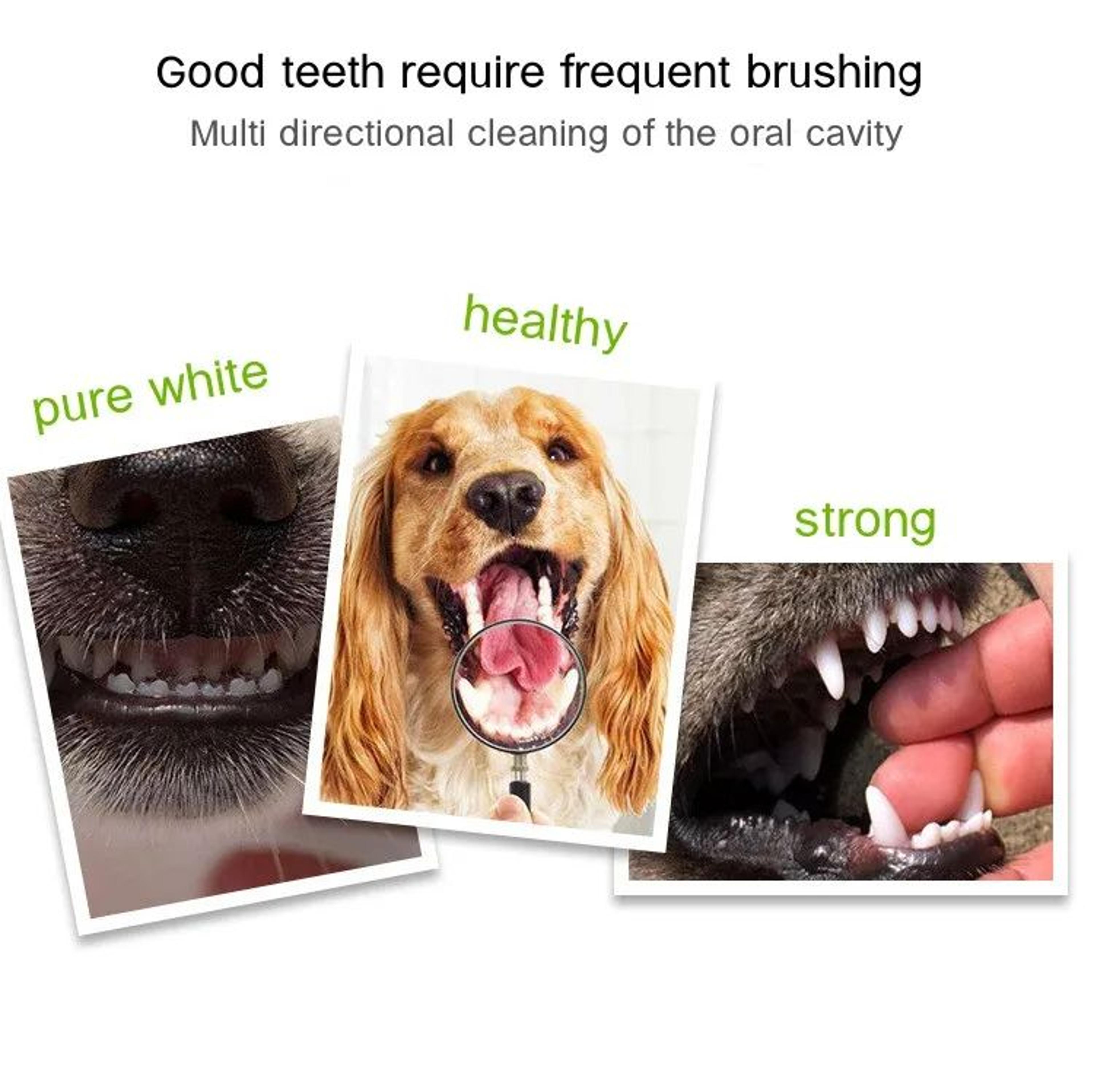 3 Sided Pet Toothbrush For Dogs And Cats 6